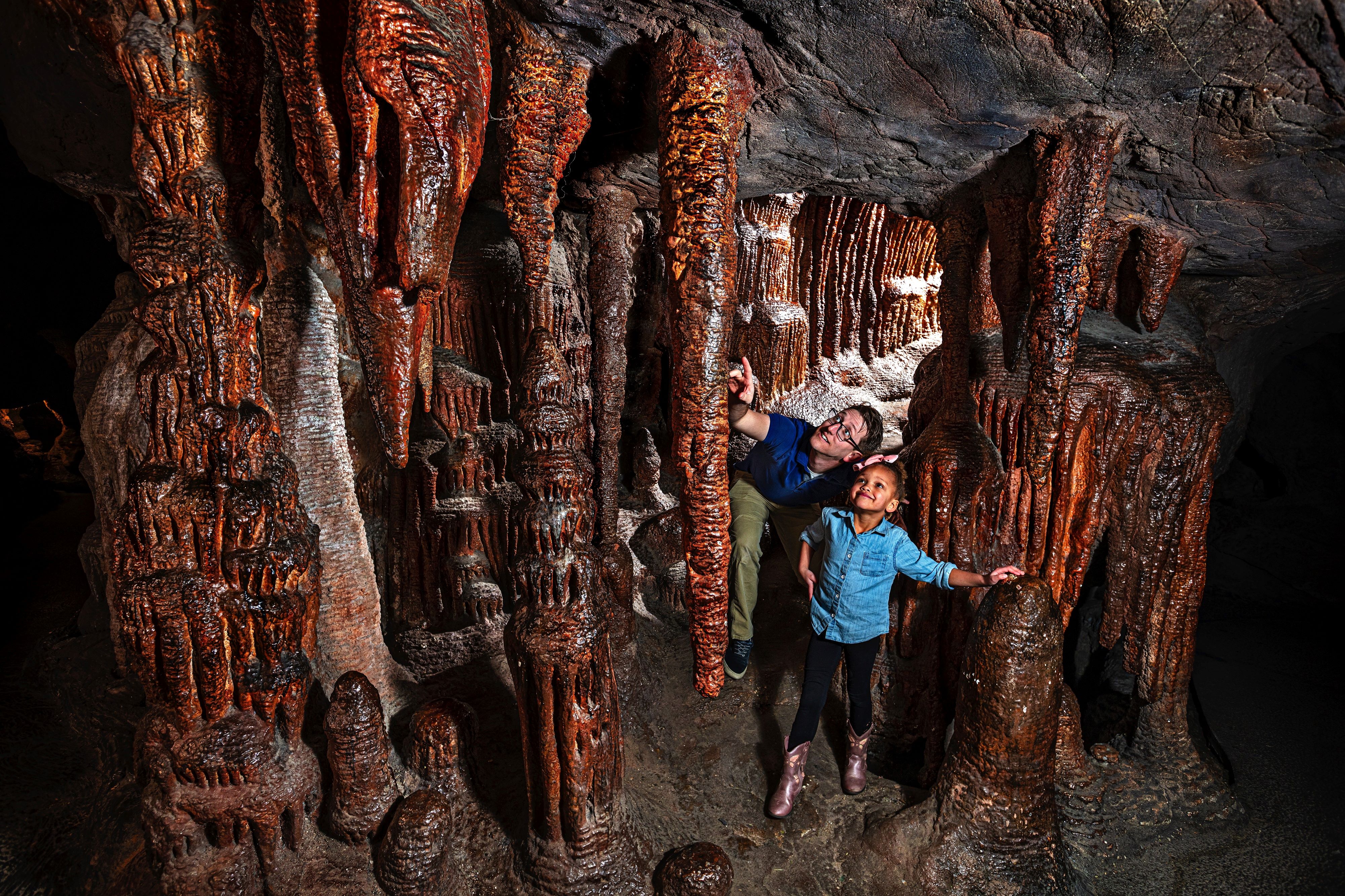 Reid Park Zoo - Museum Weddings - Tucson, AZ - WeddingWire, image size:4000x2666
