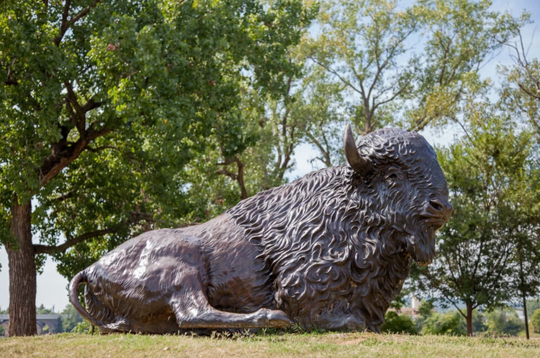 Tulsa Herd at LaFortune Park | Tulsa, OK 74135