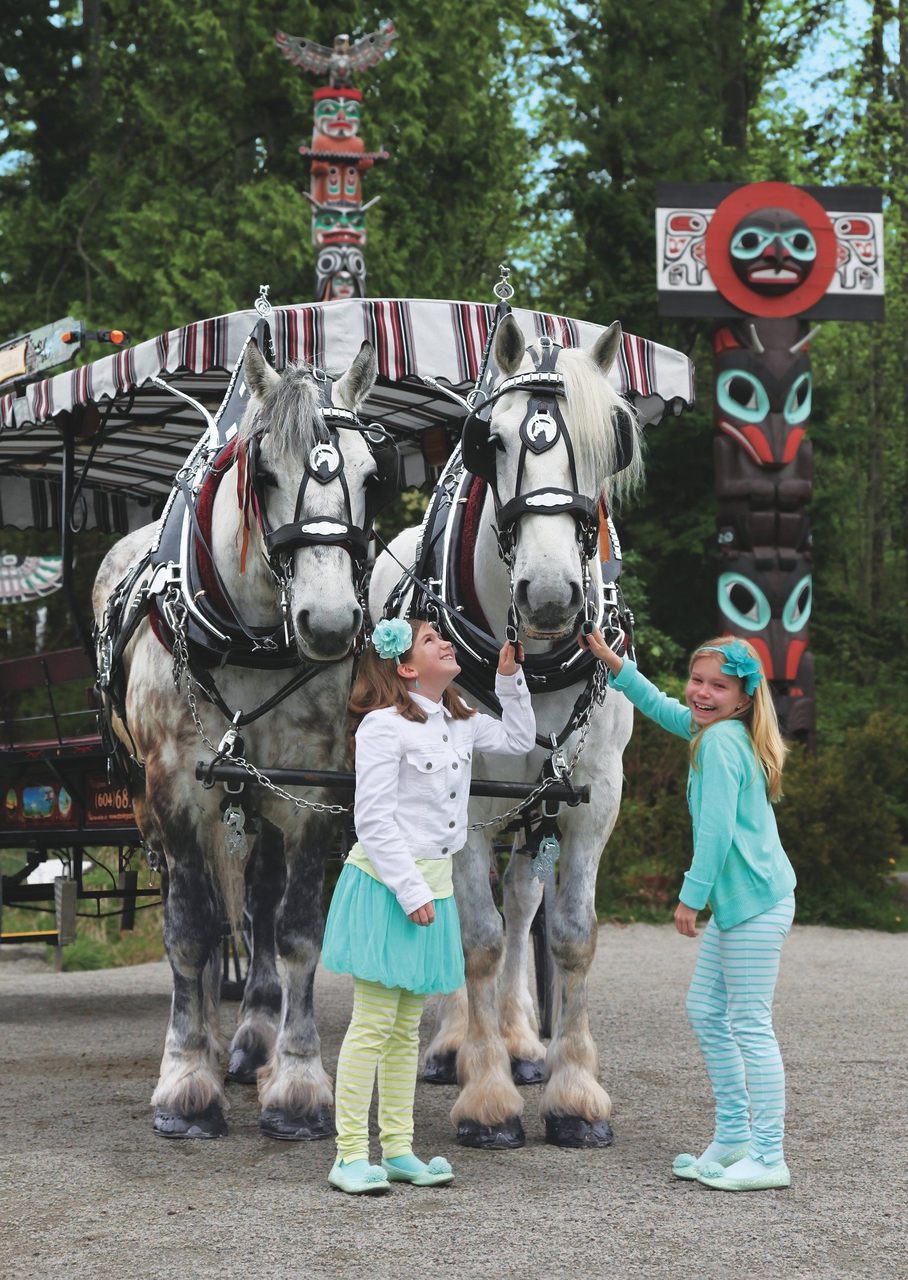 stanley park horse drawn carriage