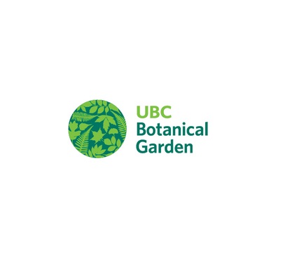 Ubc Botanical Garden Greenheart Treewalk