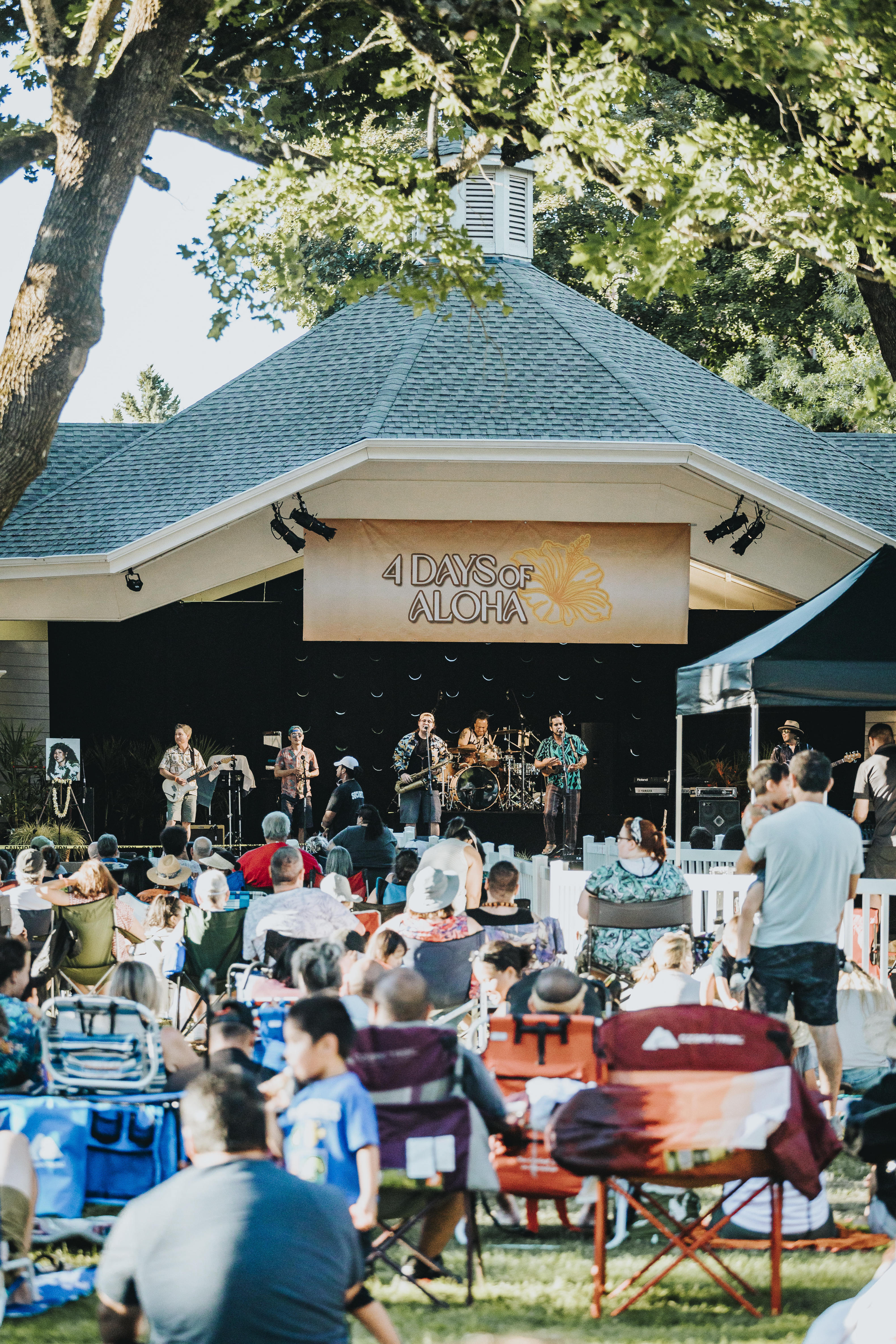 【初回限定お試し価格】 4-Days-of-Aloha_Crowd-and- ハワイアン