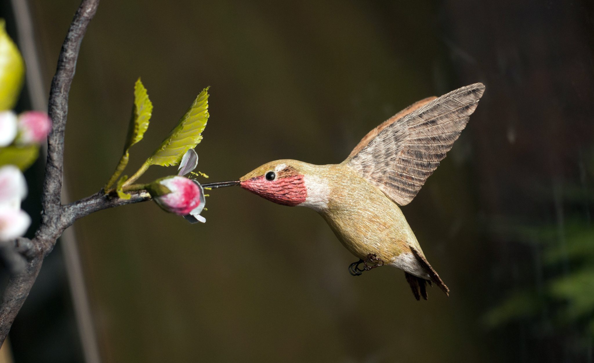 Most Common Birds of Vermont (with Pictures)