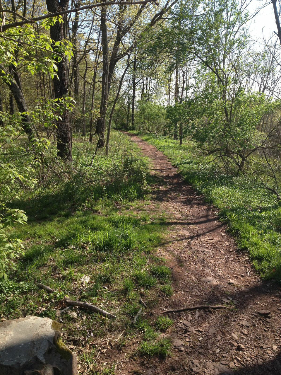 evansburg state park mountain biking