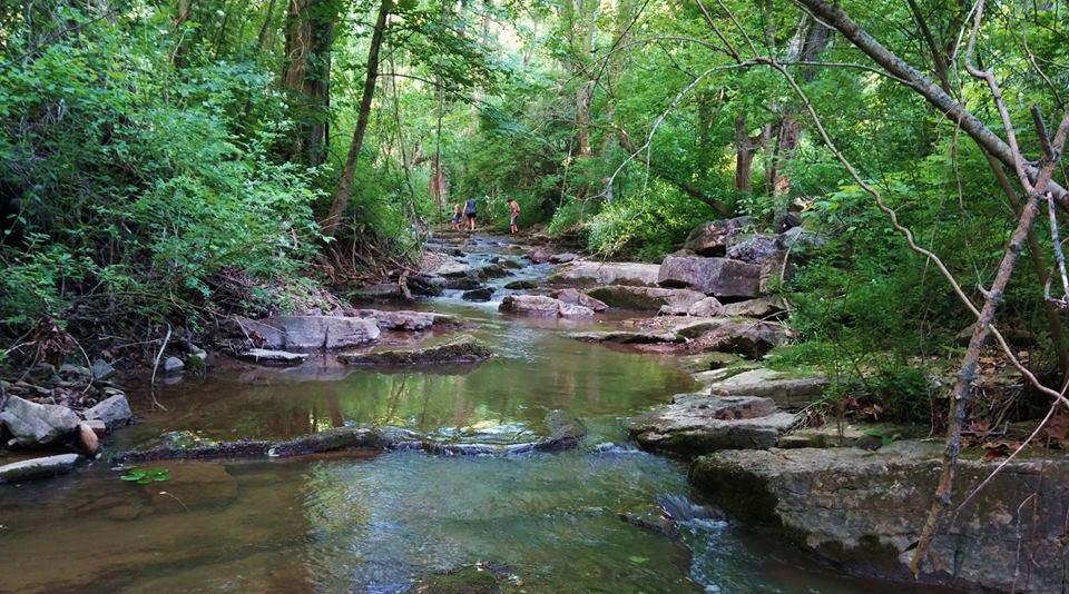 Bridgewater Park