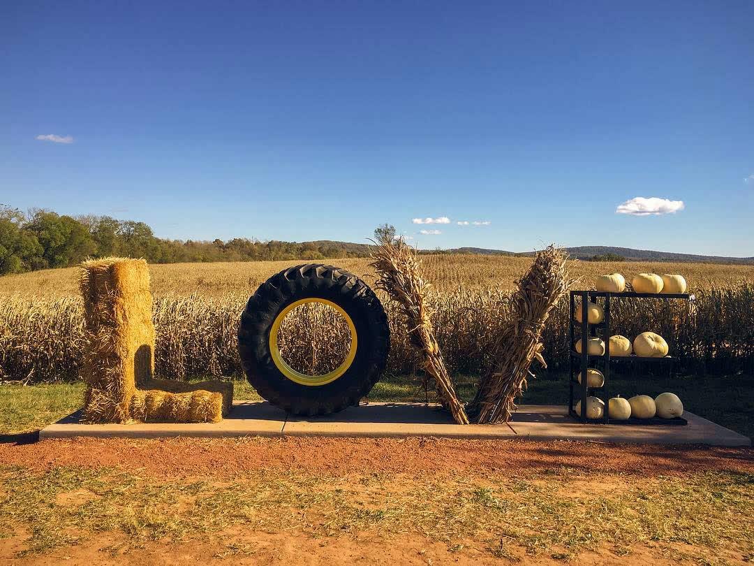 LOVEwork at Liberty Mills Farm