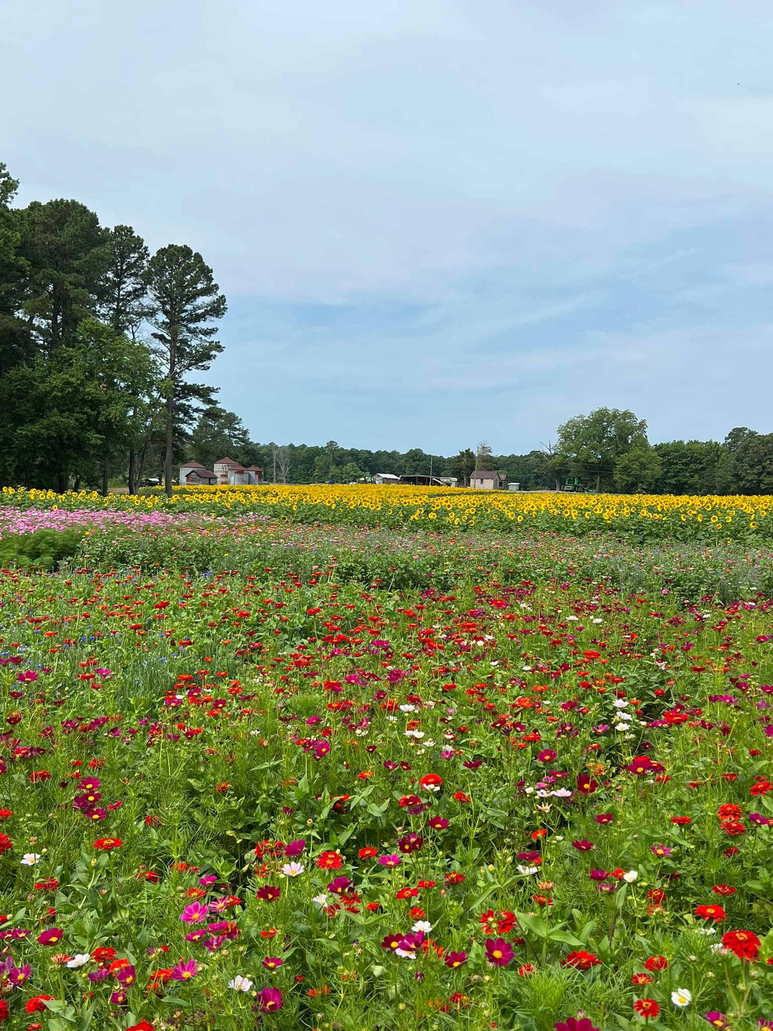 The Perfect Picks Flower Farm