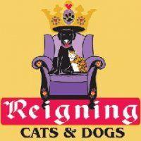 Reigning Cats and Dogs