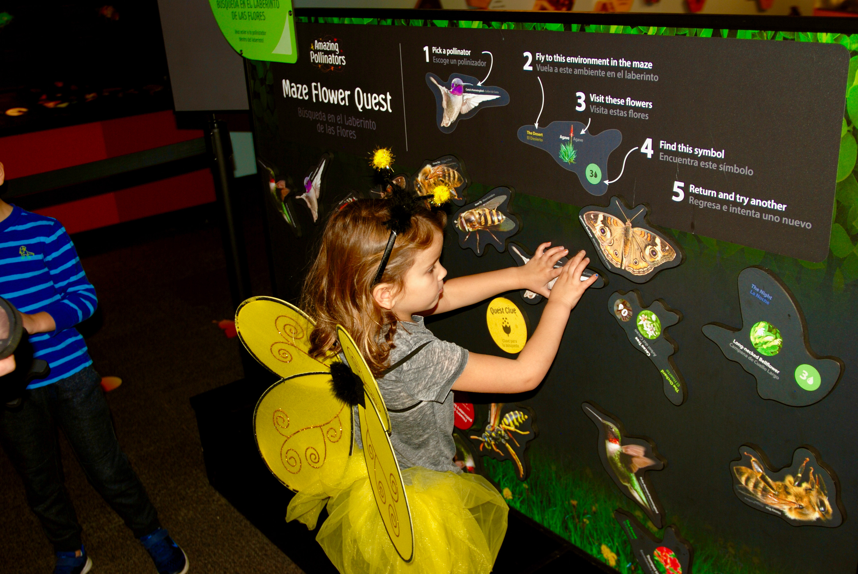 Flap like a butterfly at the Virginia Aquarium's 'Amazing Pollinators'  exhibit – The Virginian-Pilot