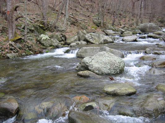 Trout Hike - South River (VA - Constitution Park) - CatchGuide