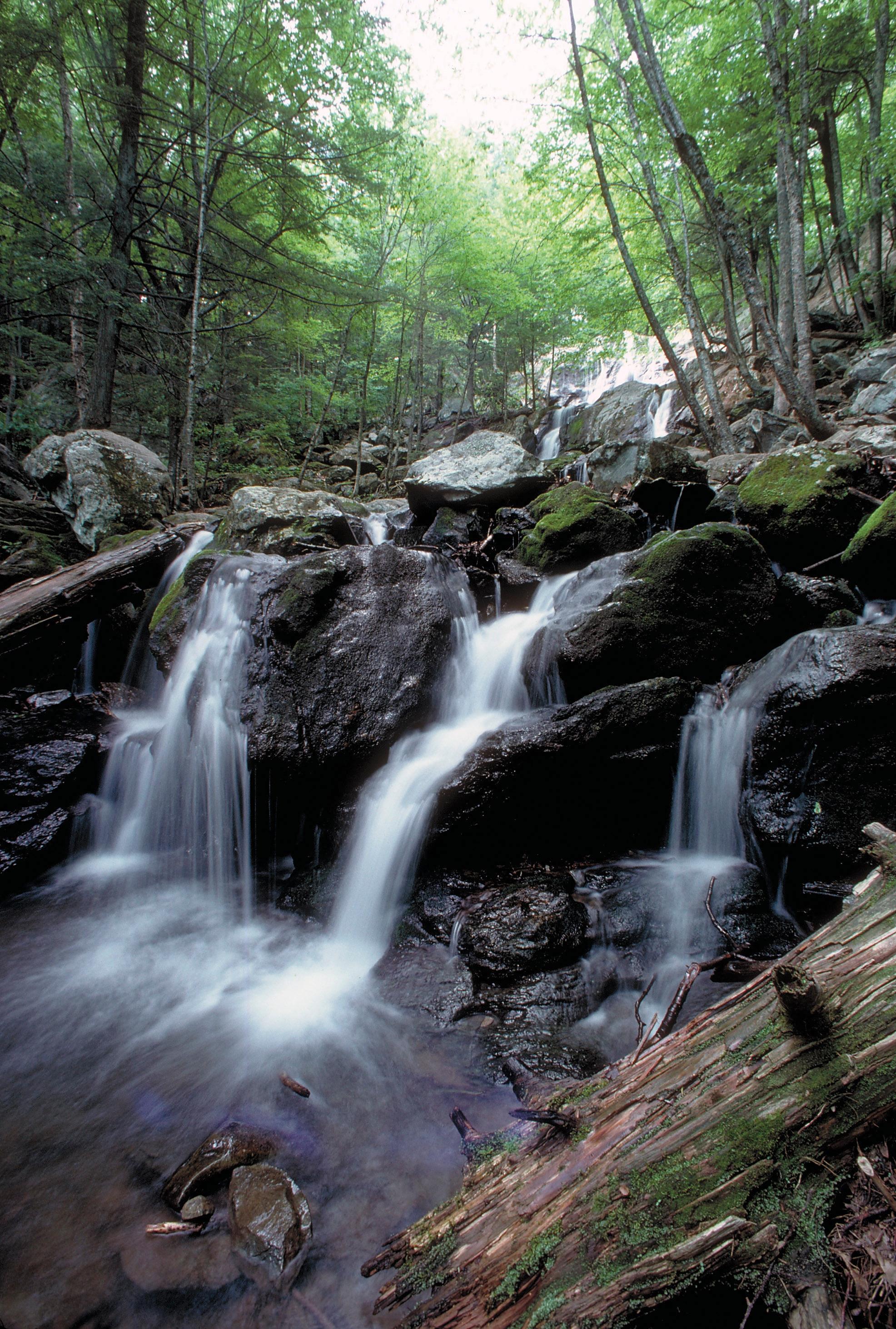 Dark Hollow Falls Trail Map Dark Hollow Falls Hike