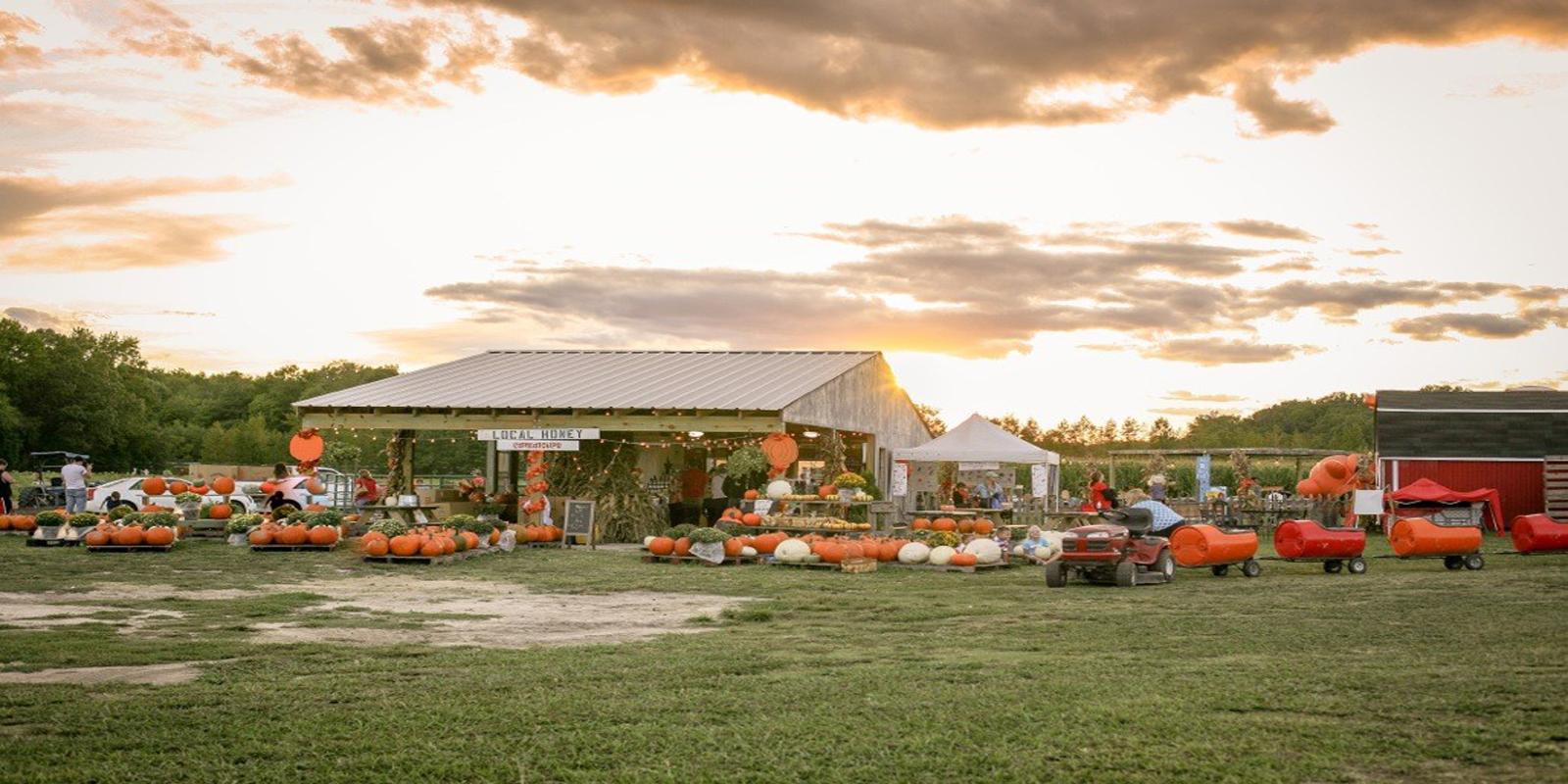 Hickory Farms St.John's