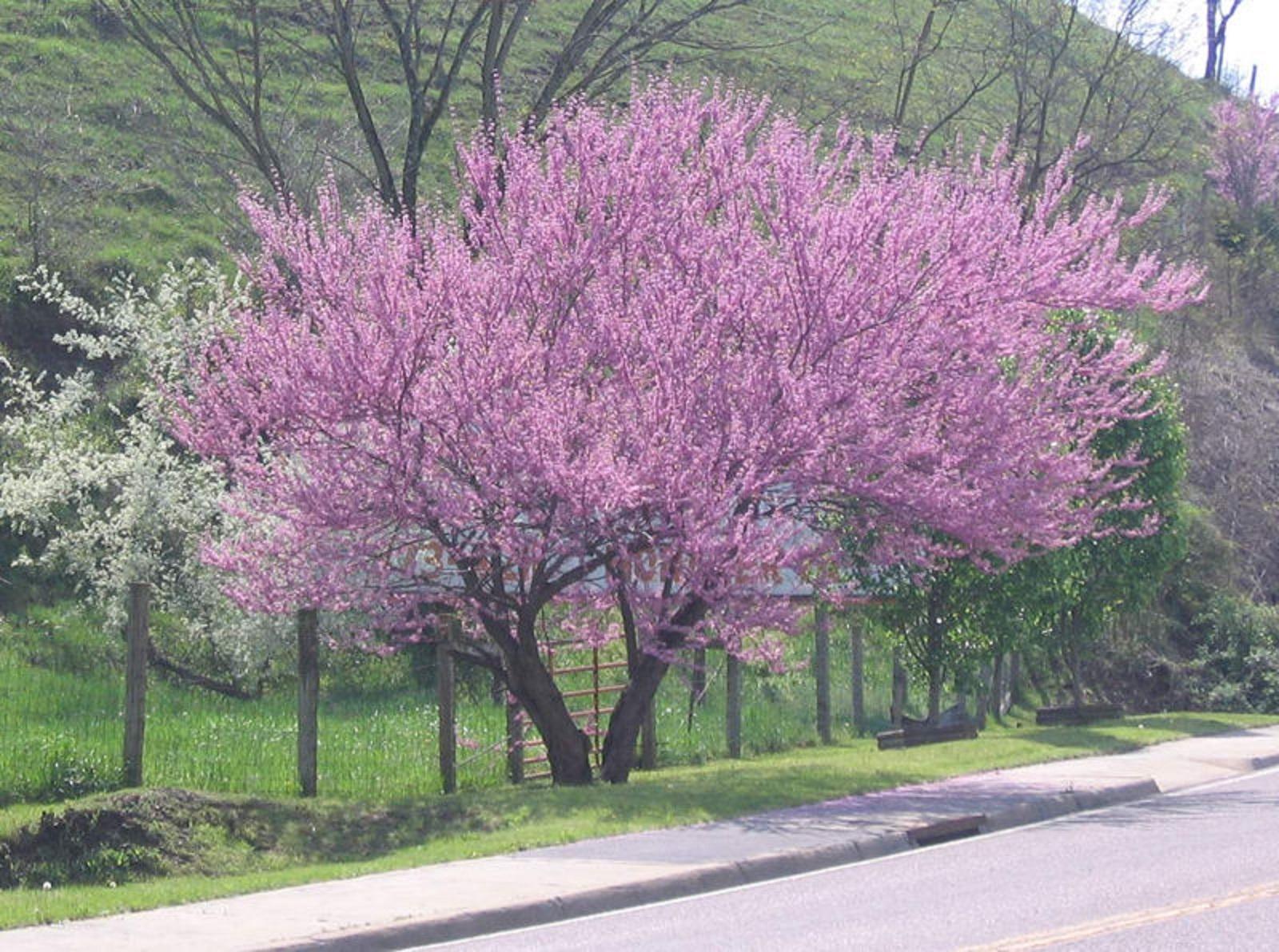 Re Inside The Corner