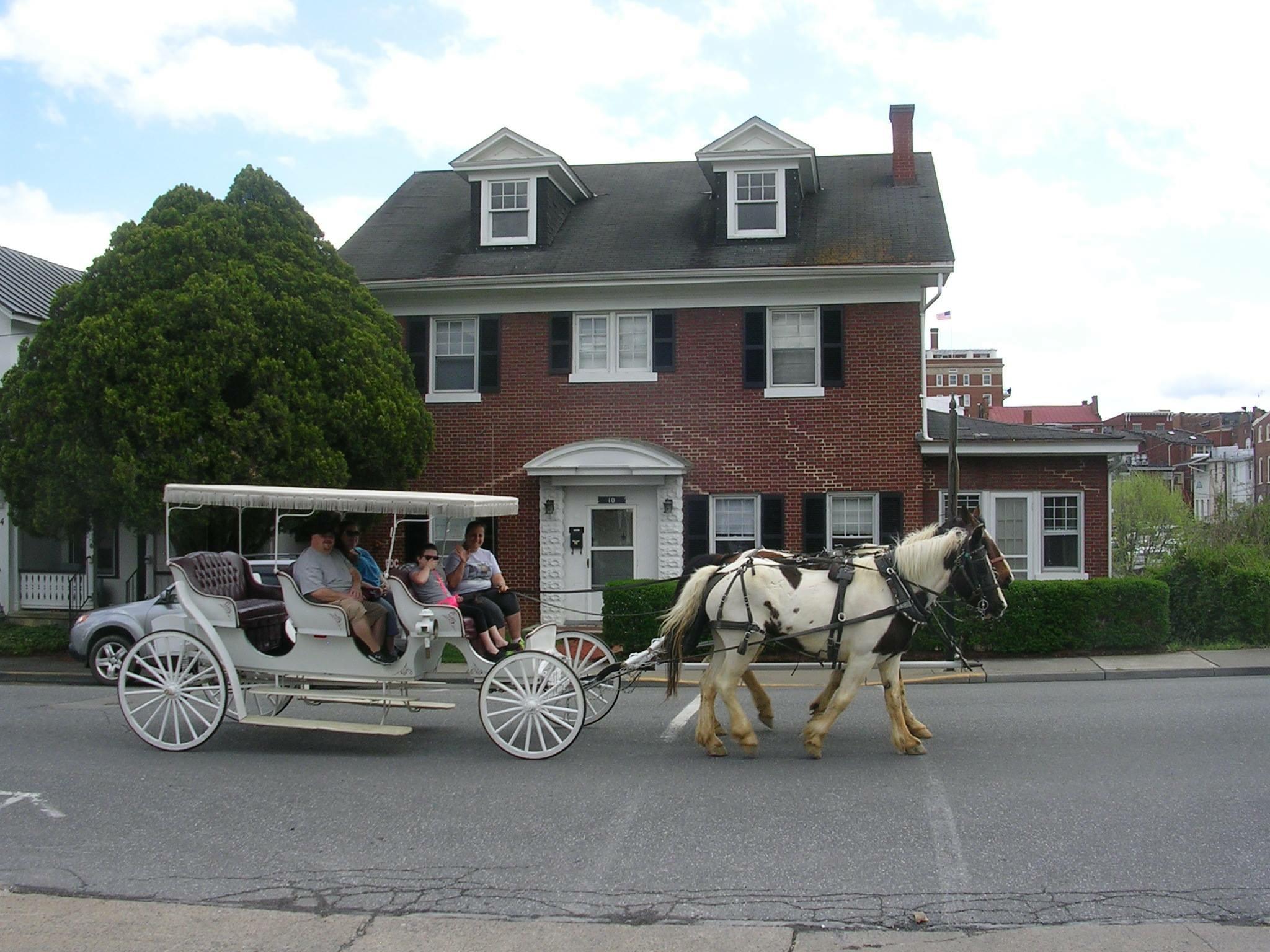 Horse Drawn Scenic Tours of Grand Rapids - Kent City MI, 49330