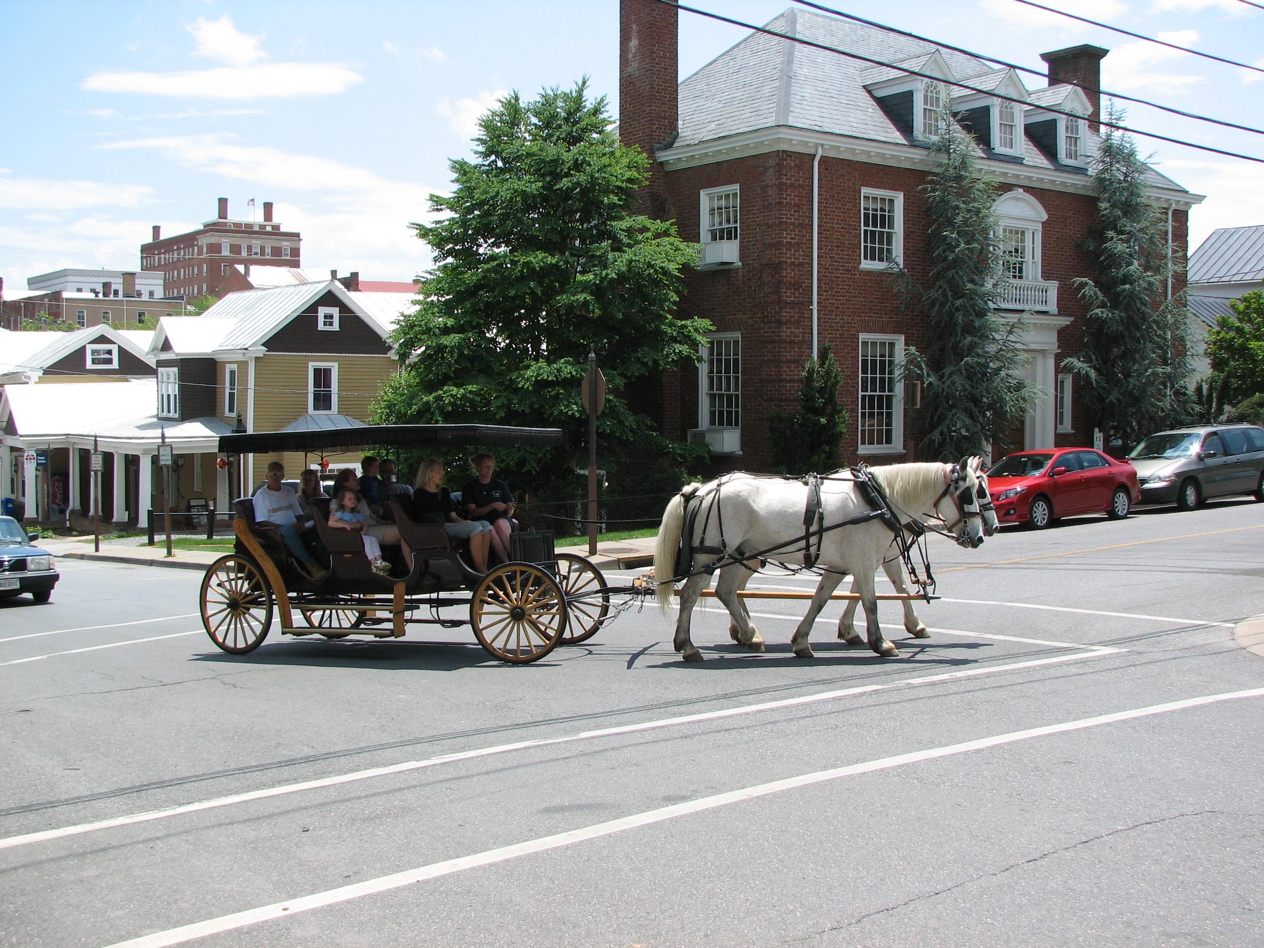 Horse-Drawn Carriage Tours of Downtown Historic Lexington