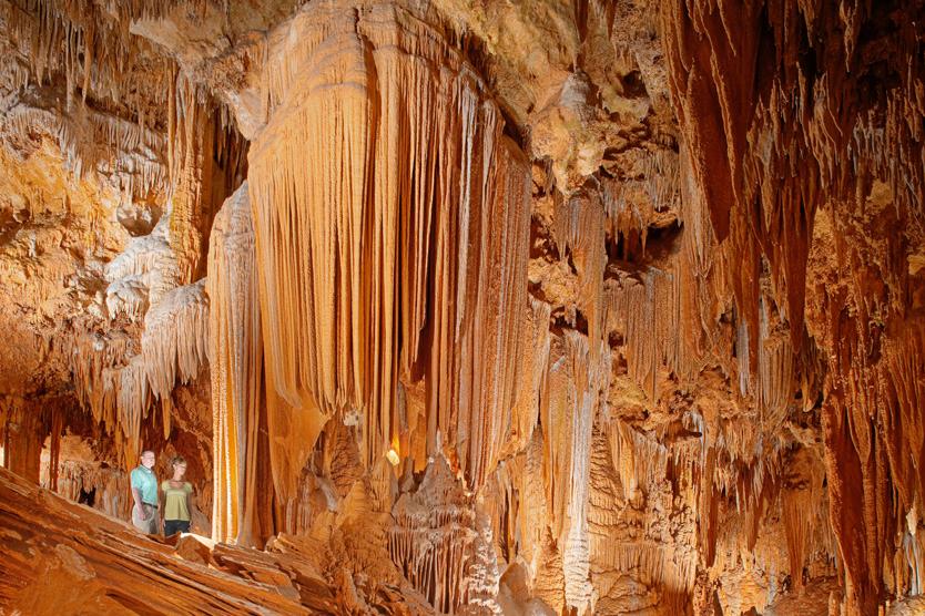 Are Dogs Allowed In Luray Caverns