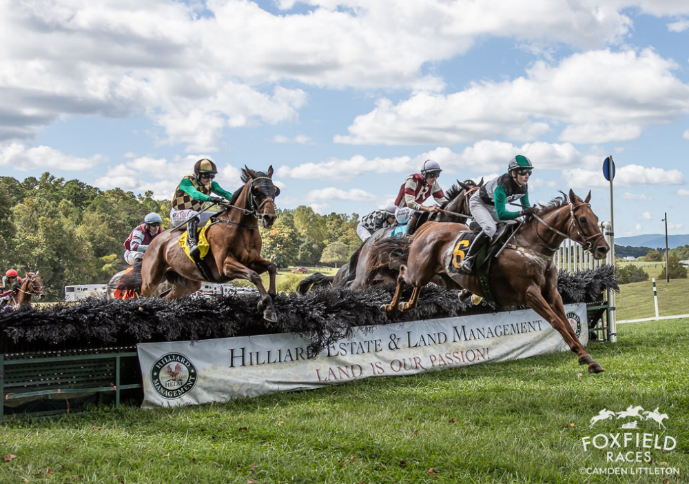Fox Field Christmas At Foxfield