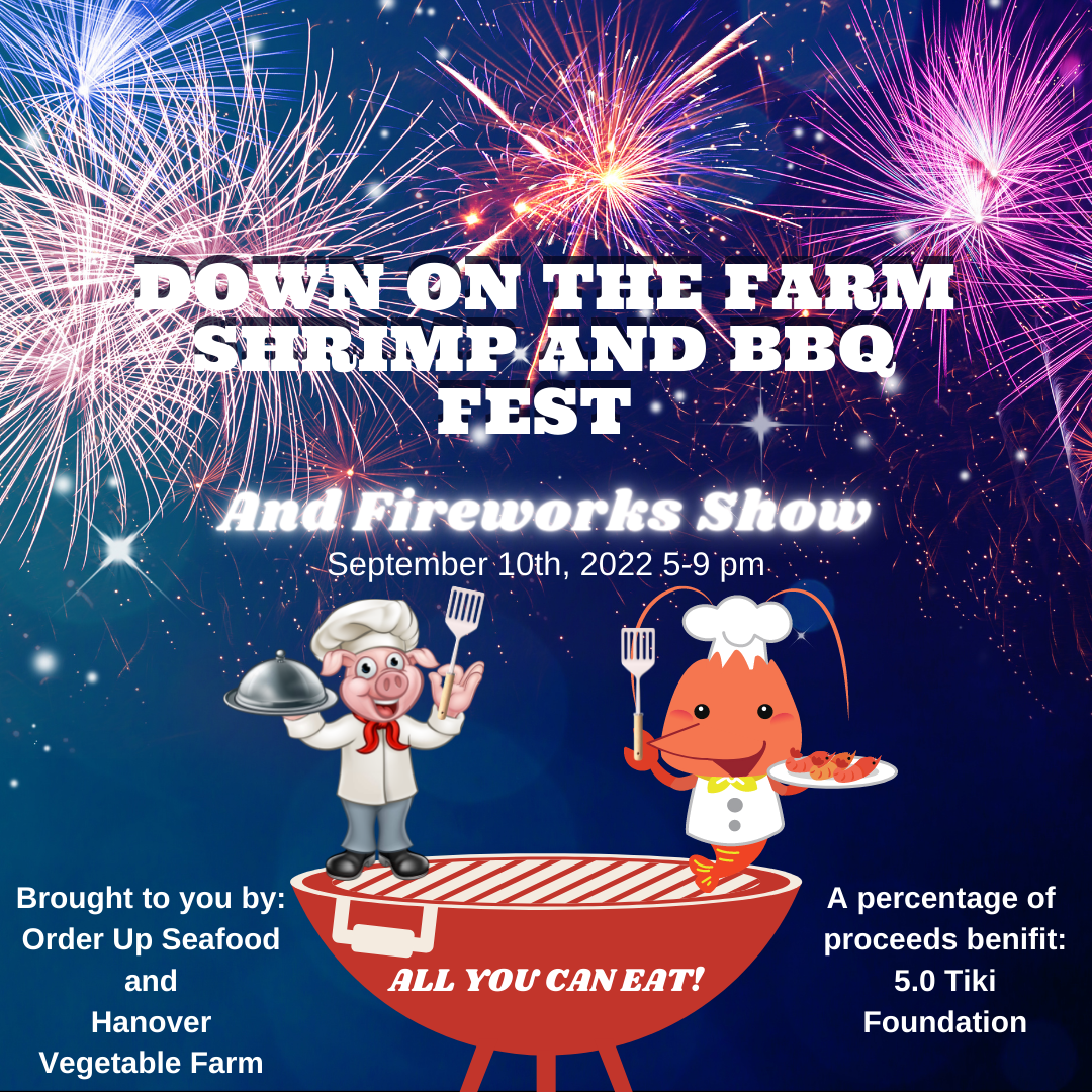 DOTF Shrimp and BBQ Fest and Fireworks Show