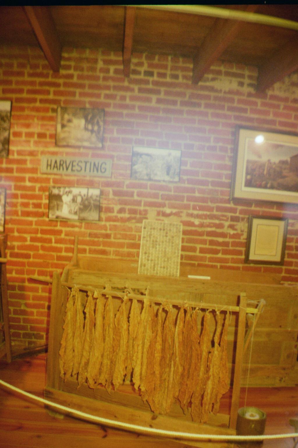 tobacco farm life museum of virginia Mecklenburg County Gems