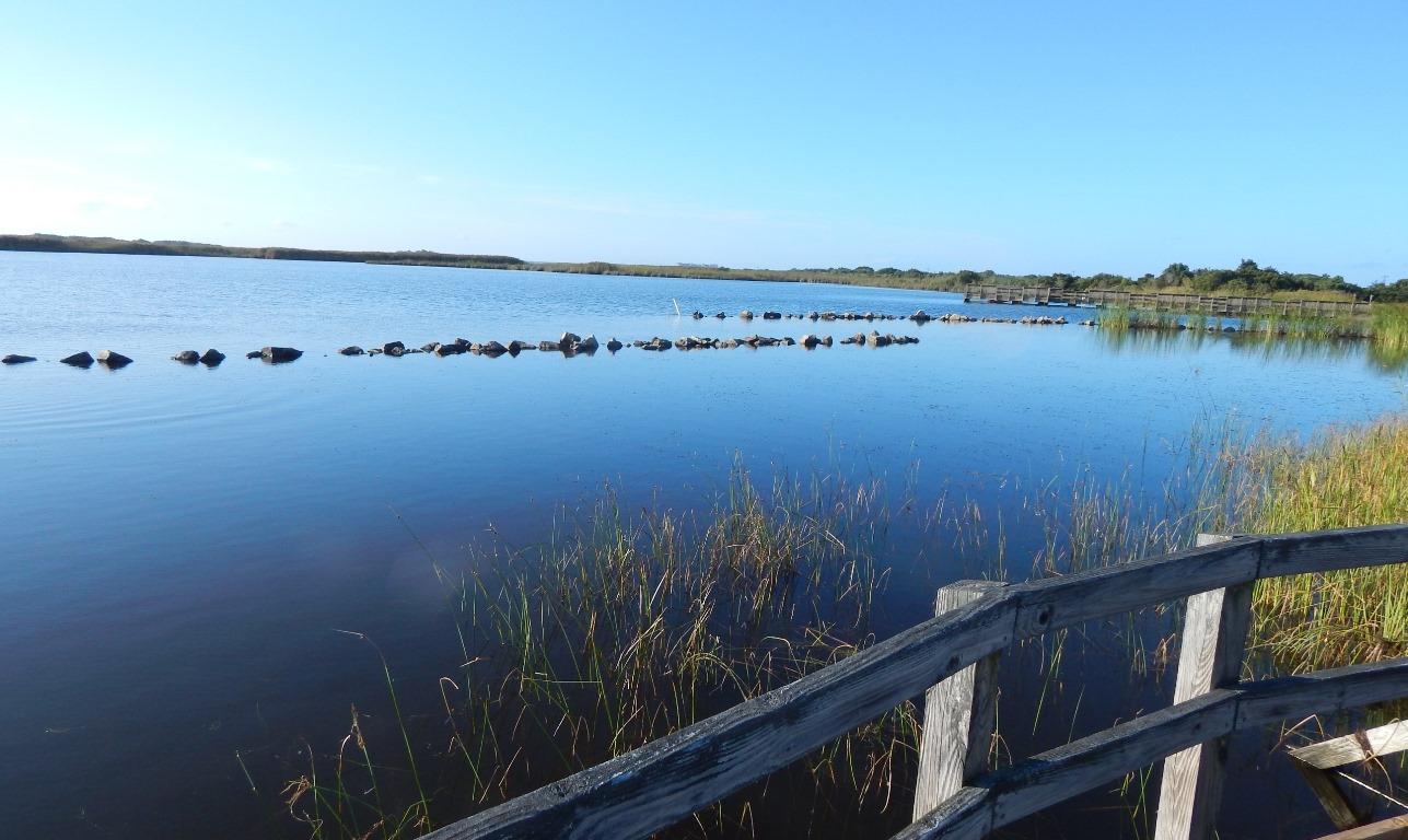 Back Bay Conservation Area