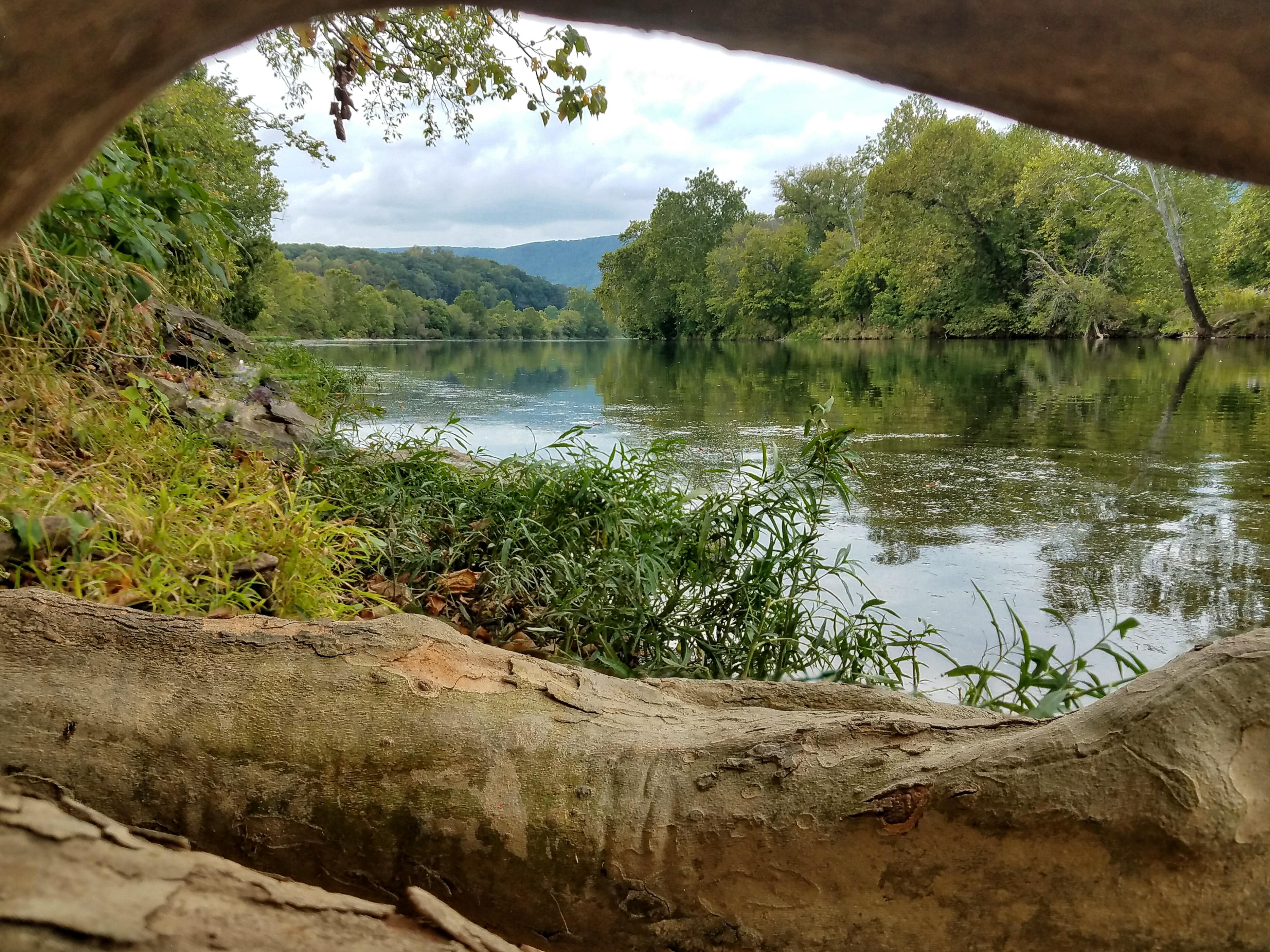 are dogs allowed in shenandoah river state park