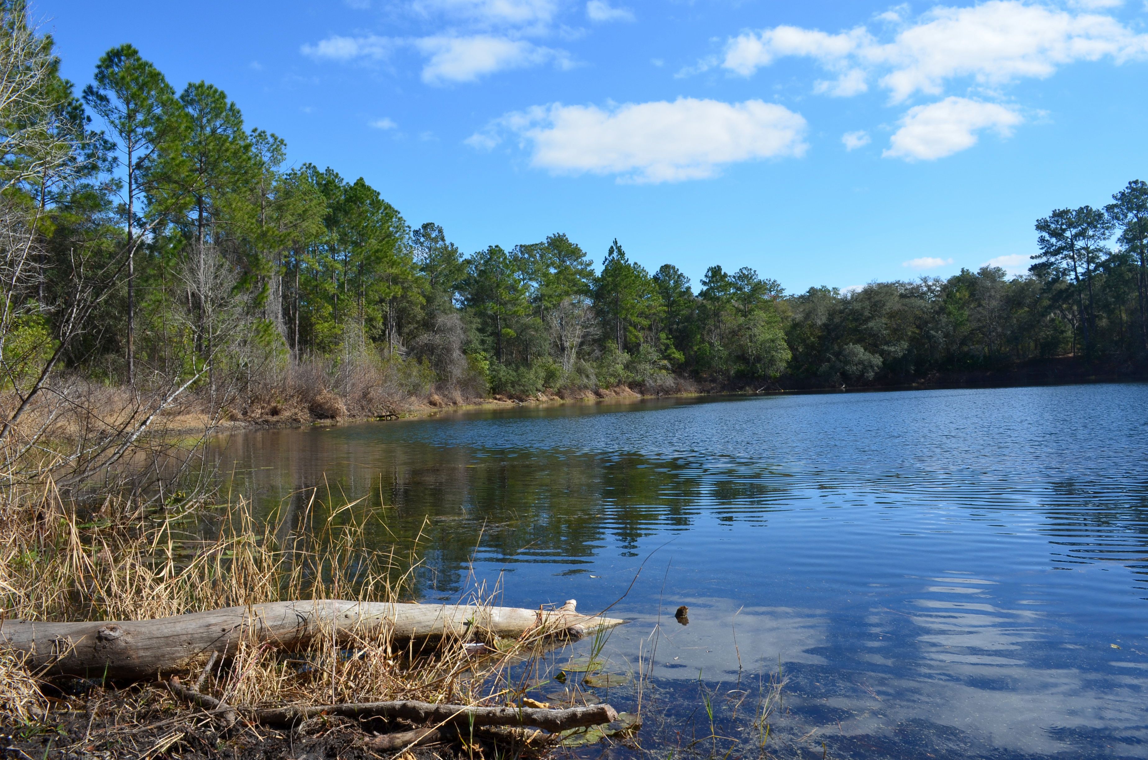 Campgrounds Near Niceville Fl