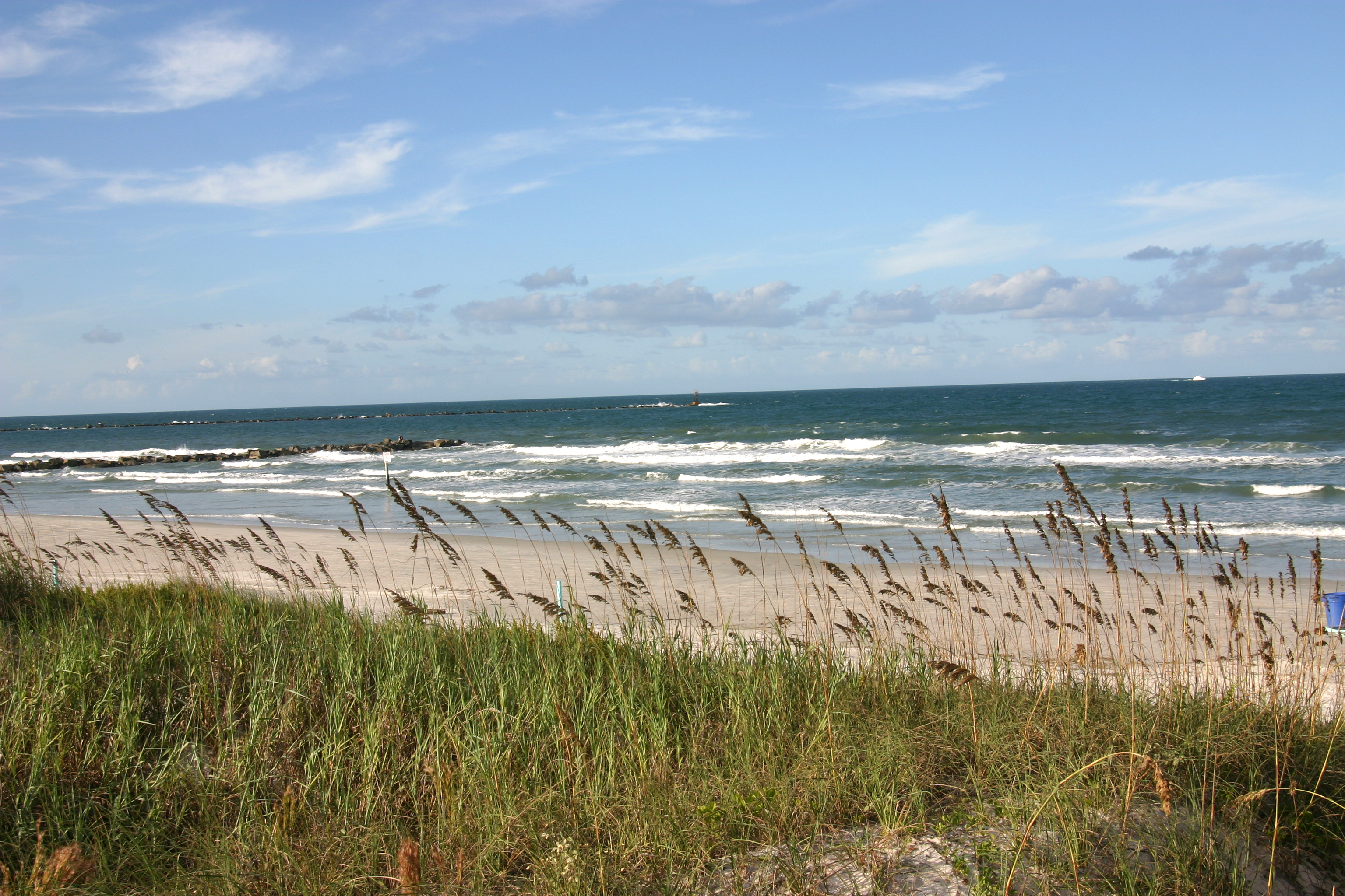 New Smyrna Beach Area Visitors Bureau In New Smyrna Beach Visit Florida