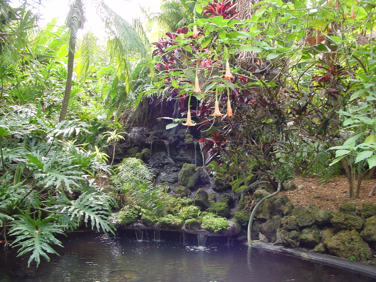 Sunken Gardens Sarasota Fl | Fasci Garden