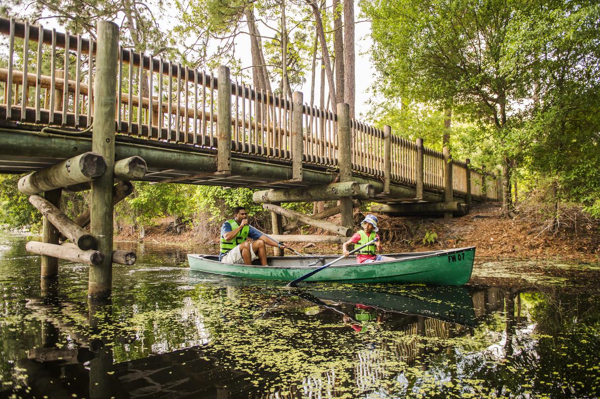 The Campsites at Disney's Fort Wilderness Resort in Lake Buena Vista |  VISIT FLORIDA