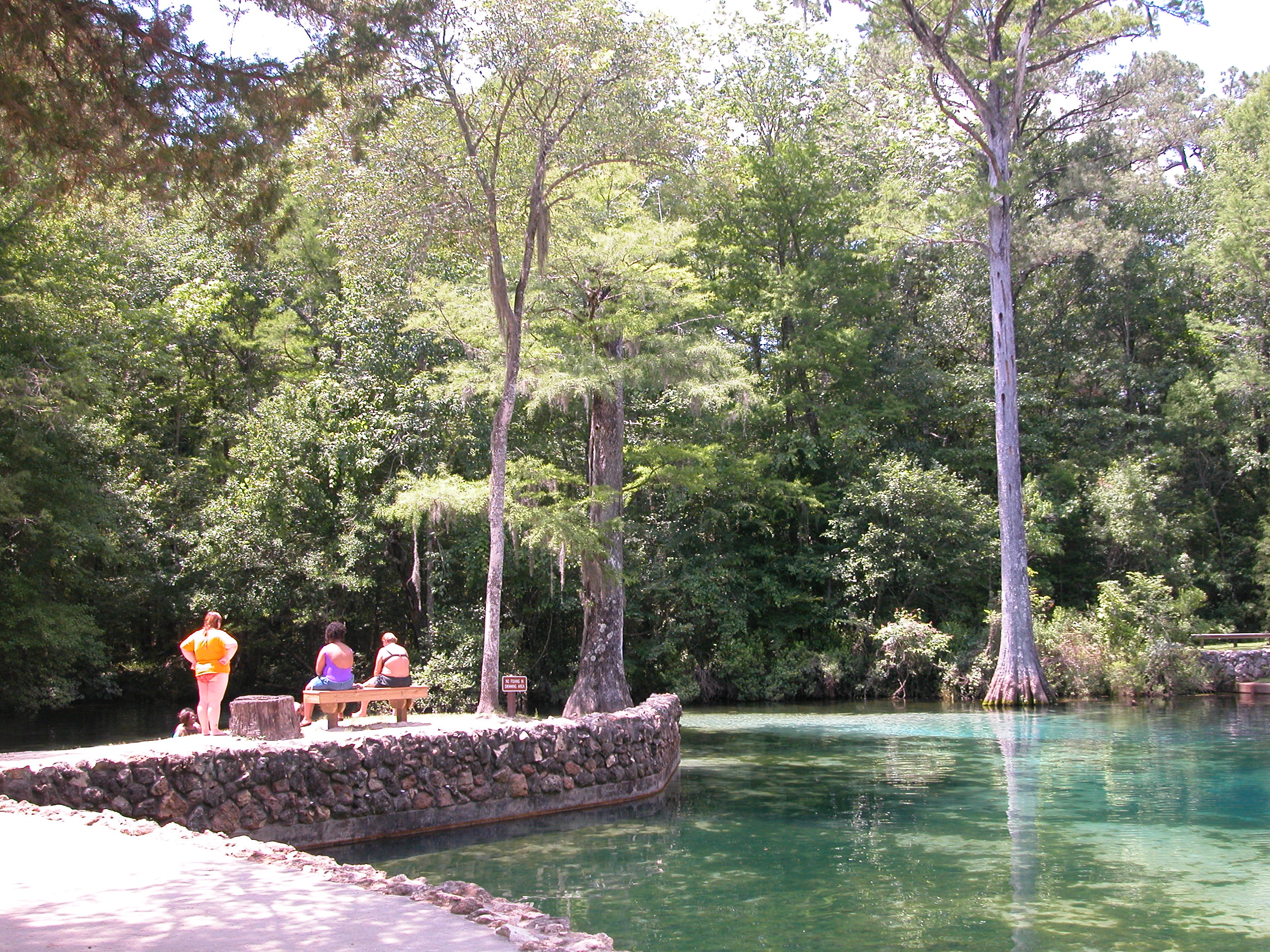 are dogs allowed at ponce de leon springs