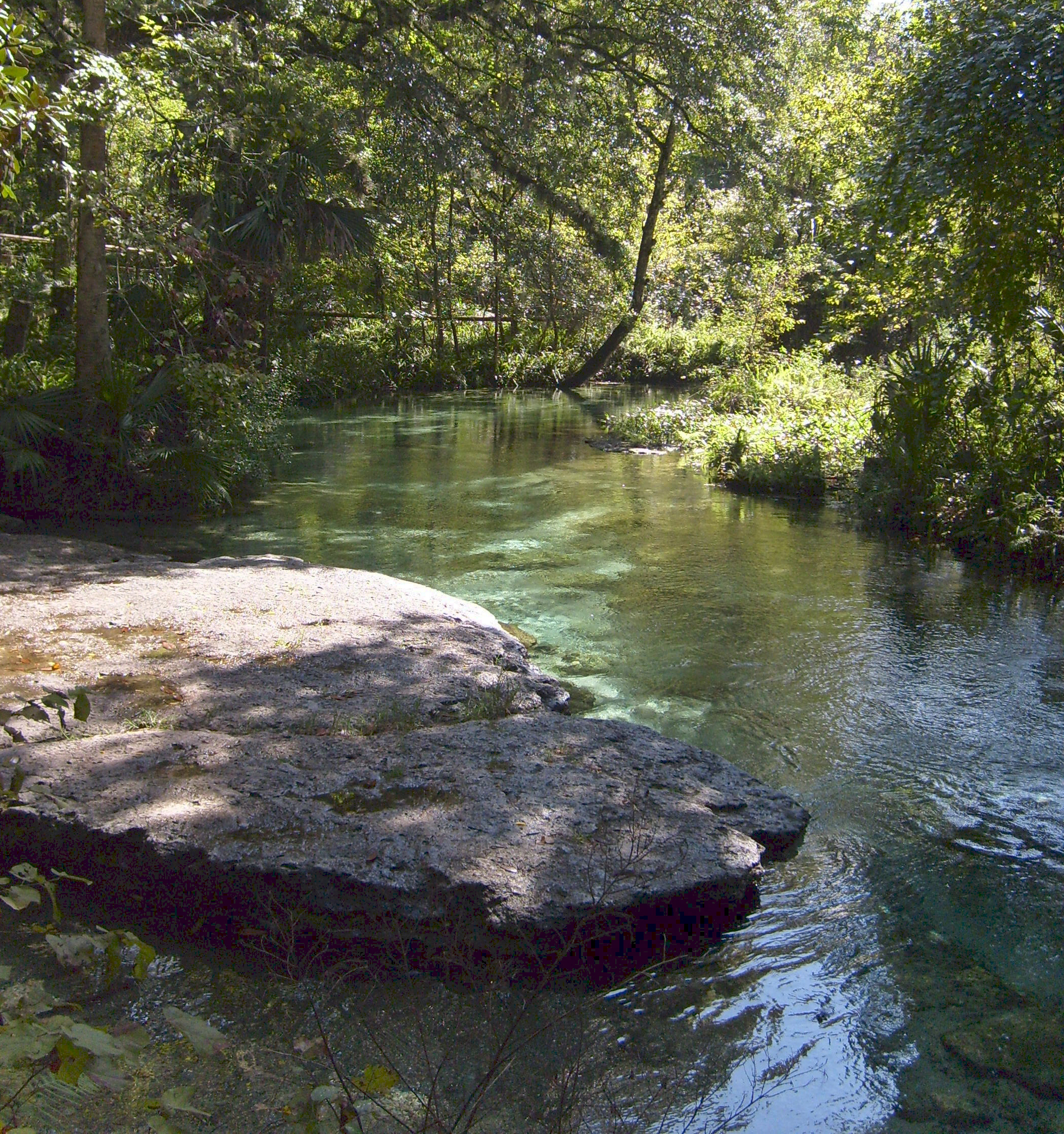 florero Leo un libro alegría Rock Springs Run State Reserve in Sorrento | VISIT FLORIDA