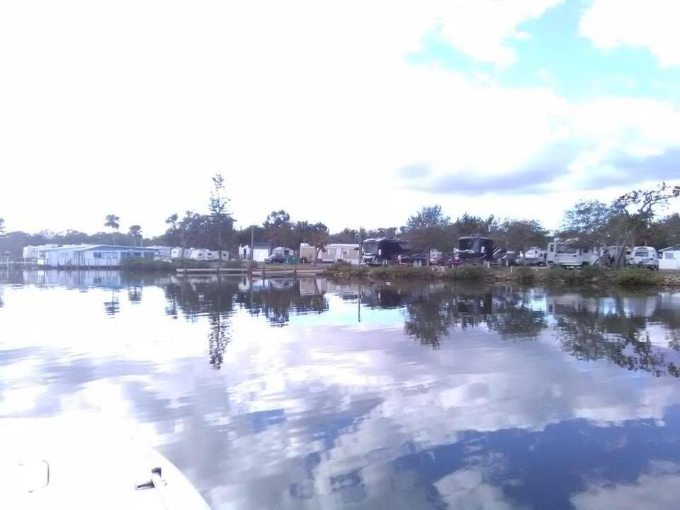 bait store new smyrna beach,Save up to