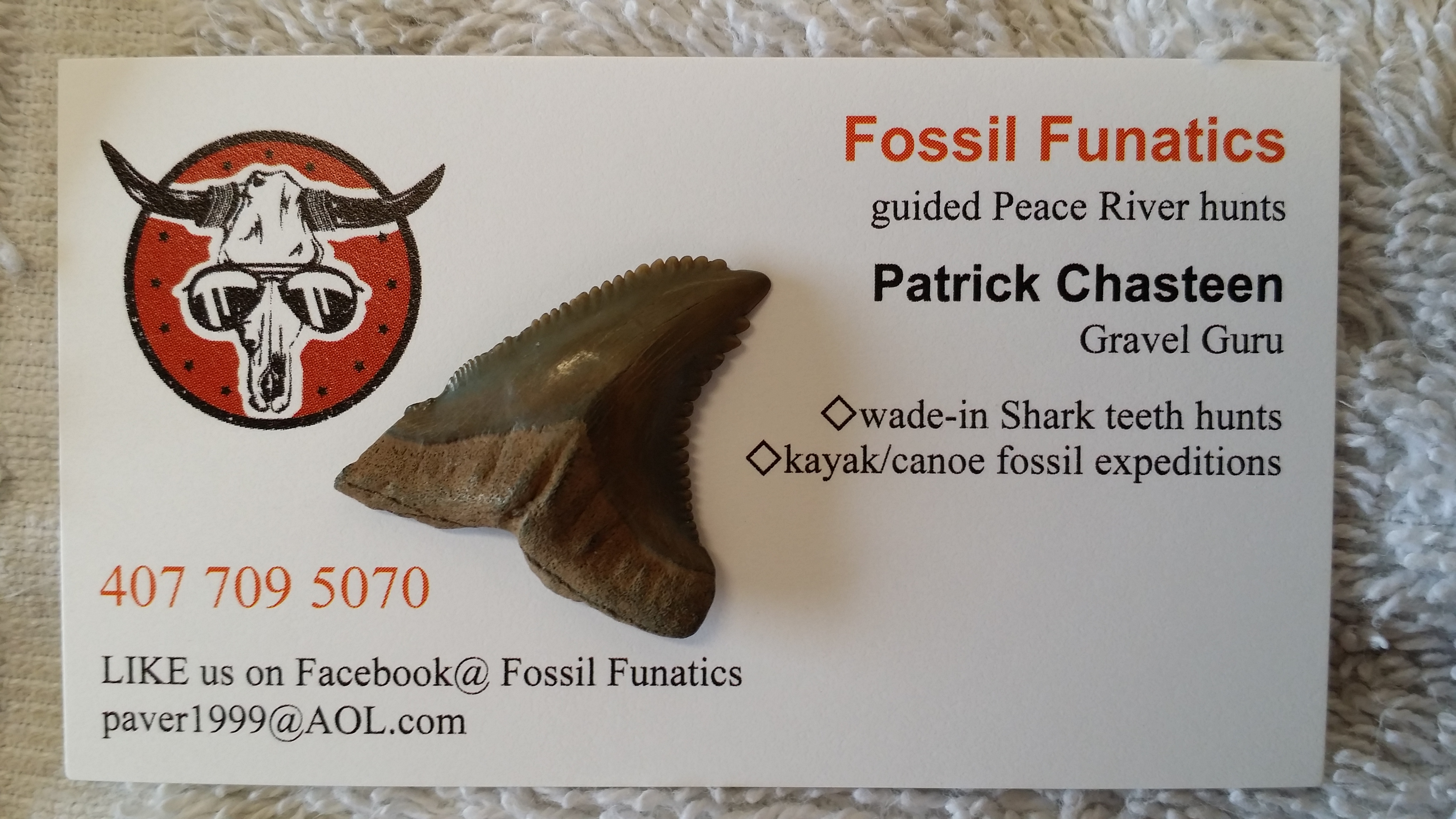 Fossil Funatics in davenport | VISIT FLORIDA