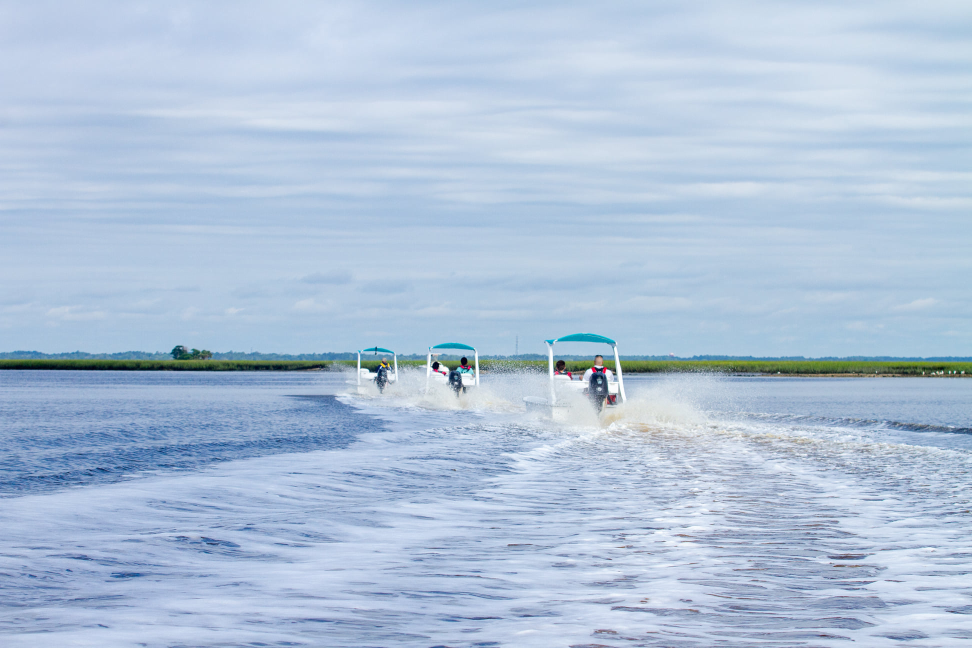 Go Cats of the Water in Marco Island VISIT FLORIDA