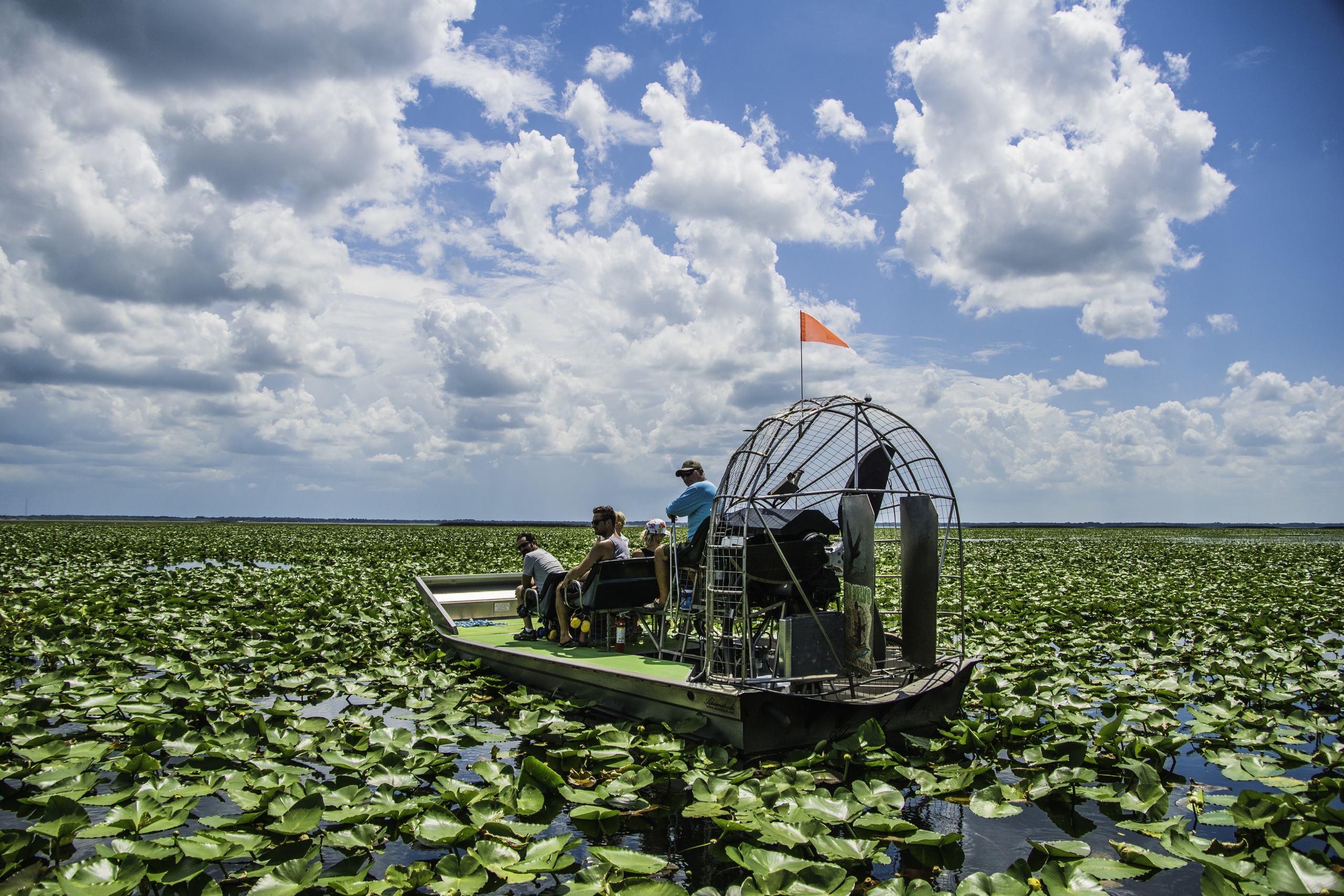 Wild Willy's Airboat Tours