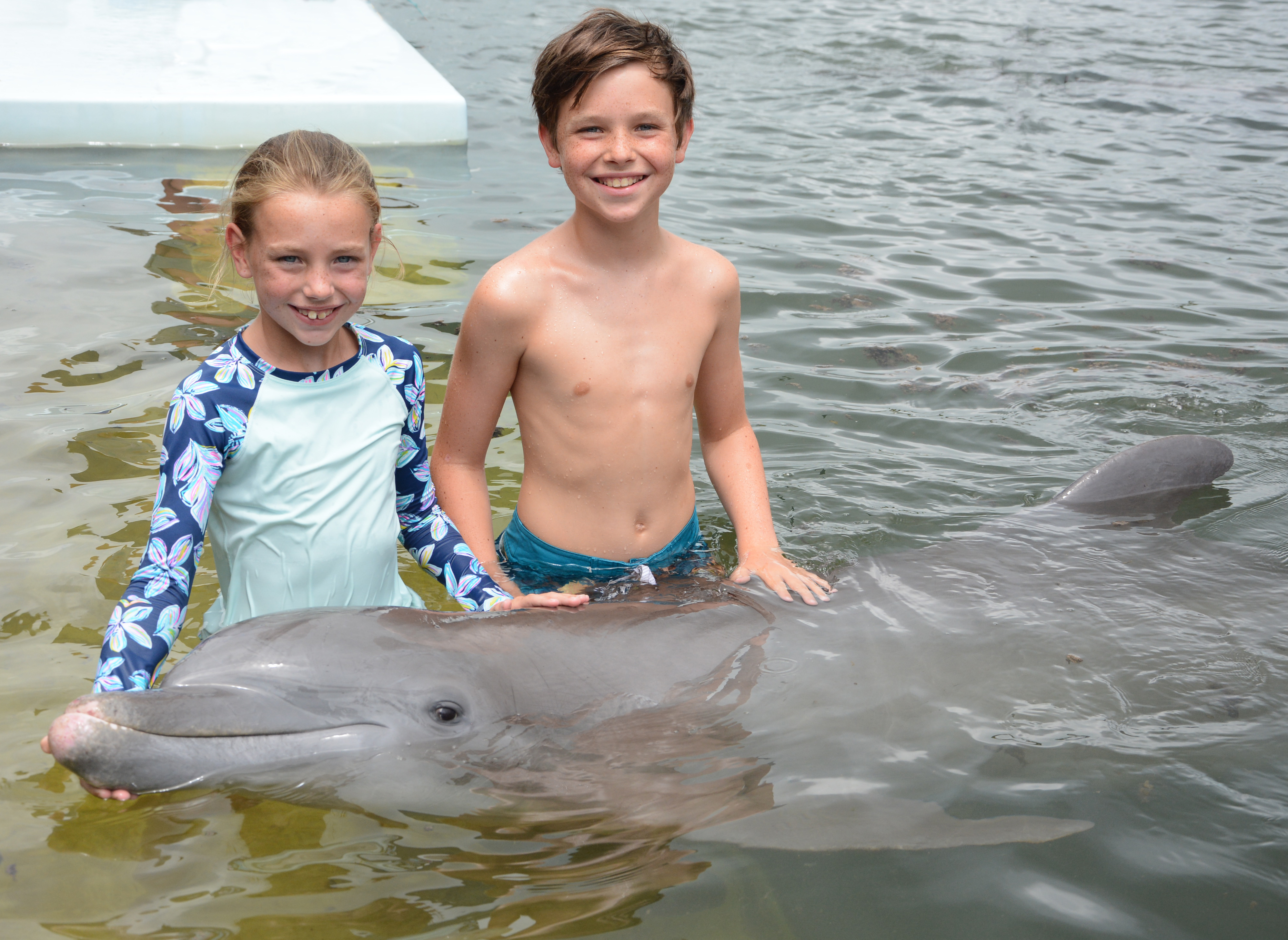 Dolphin Research Center: Grave of Flipper, Marathon, Florida