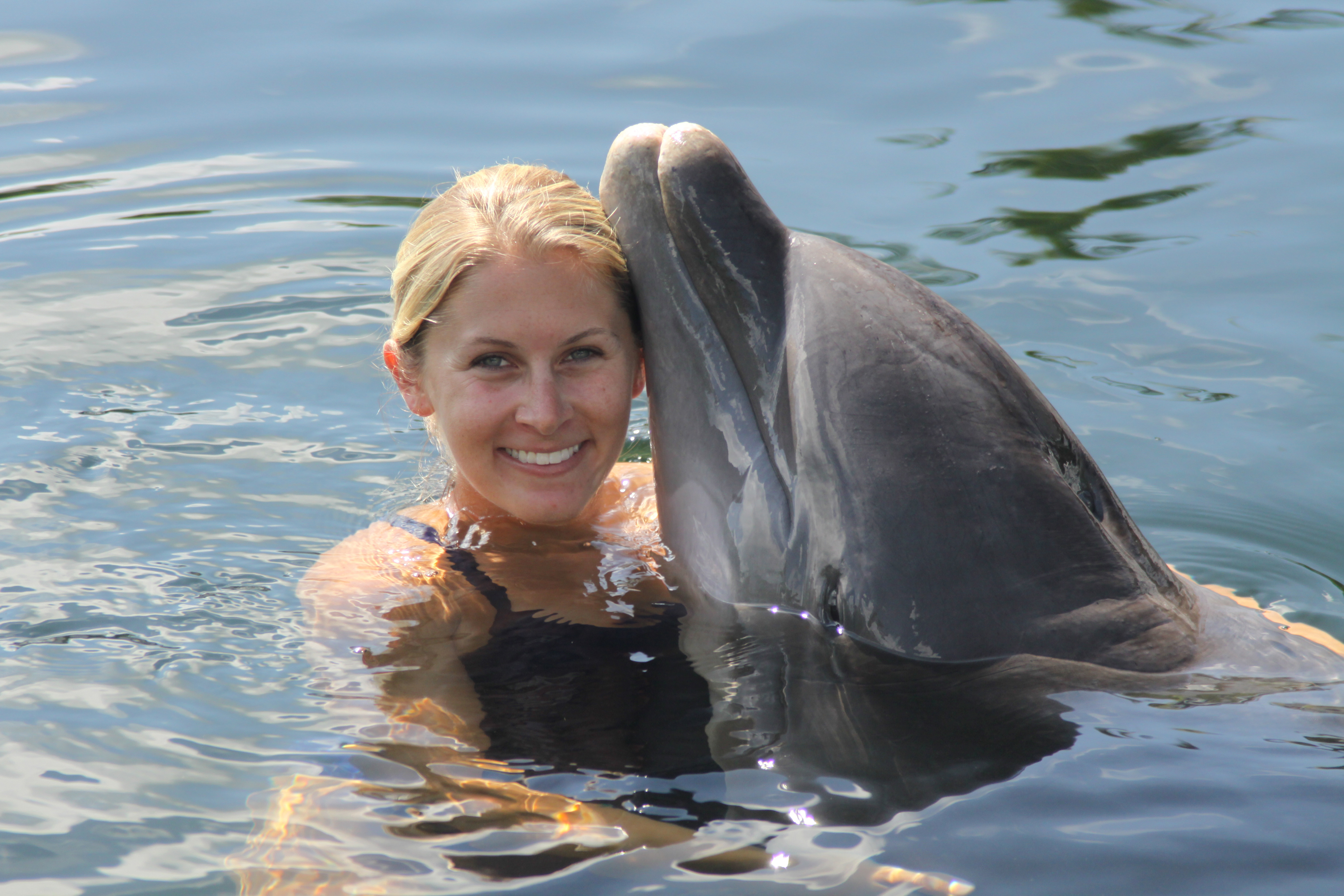 Swim with dolphins in the Florida Keys! - Theater of the Sea