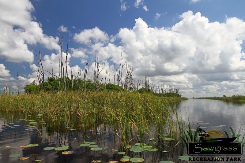 Florida Everglades Adventure Package, Sawgrass Recreation Park, Weston, October  24 2023