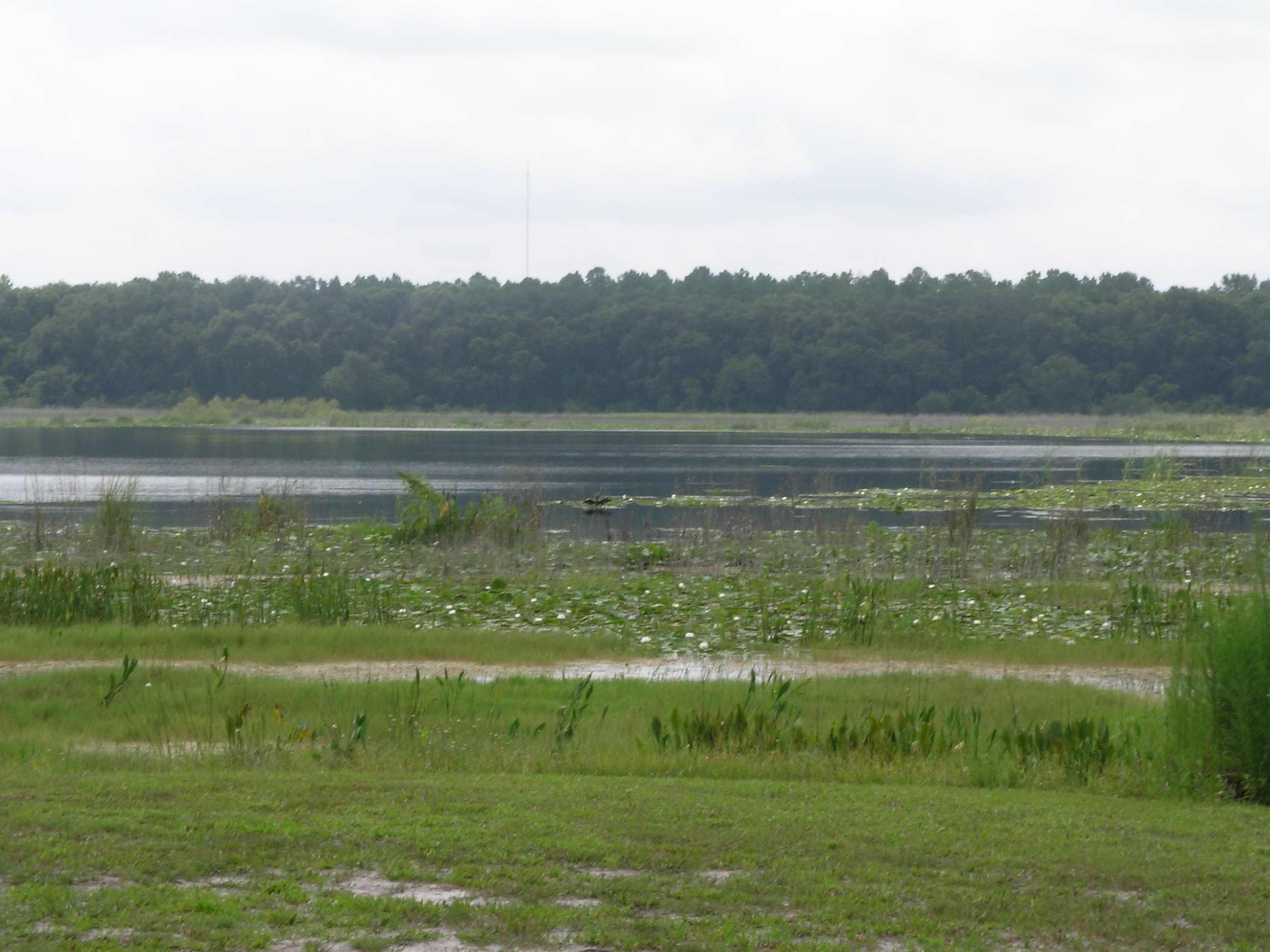 Fort Cooper State Park