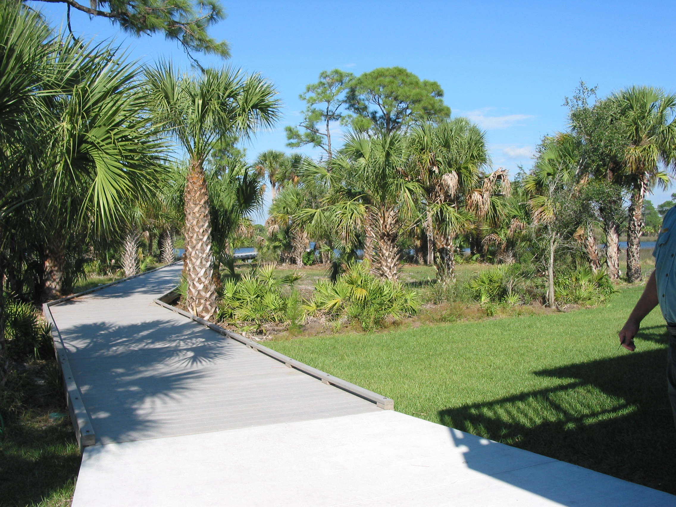 Werner-Boyce Salt Springs State Park in Port Richey | VISIT FLORIDA