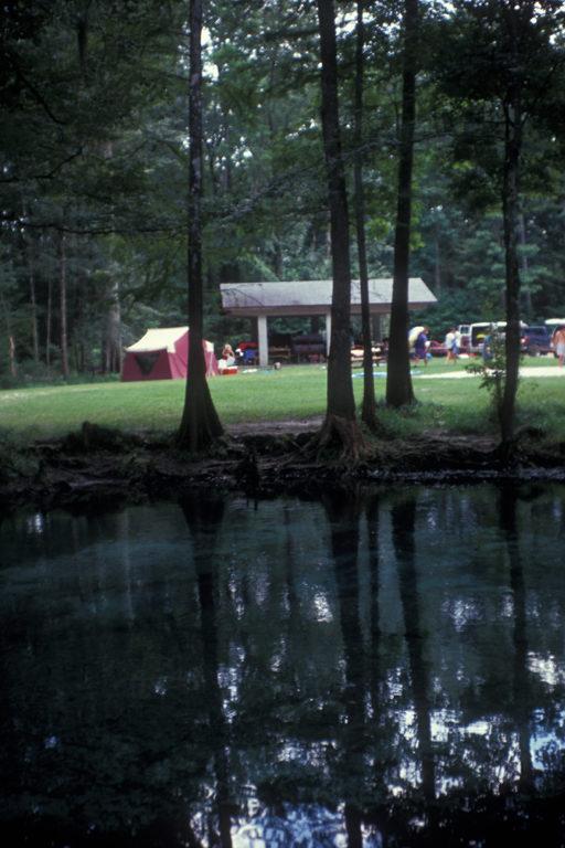 Ginnie Springs - Visit Natural North Florida