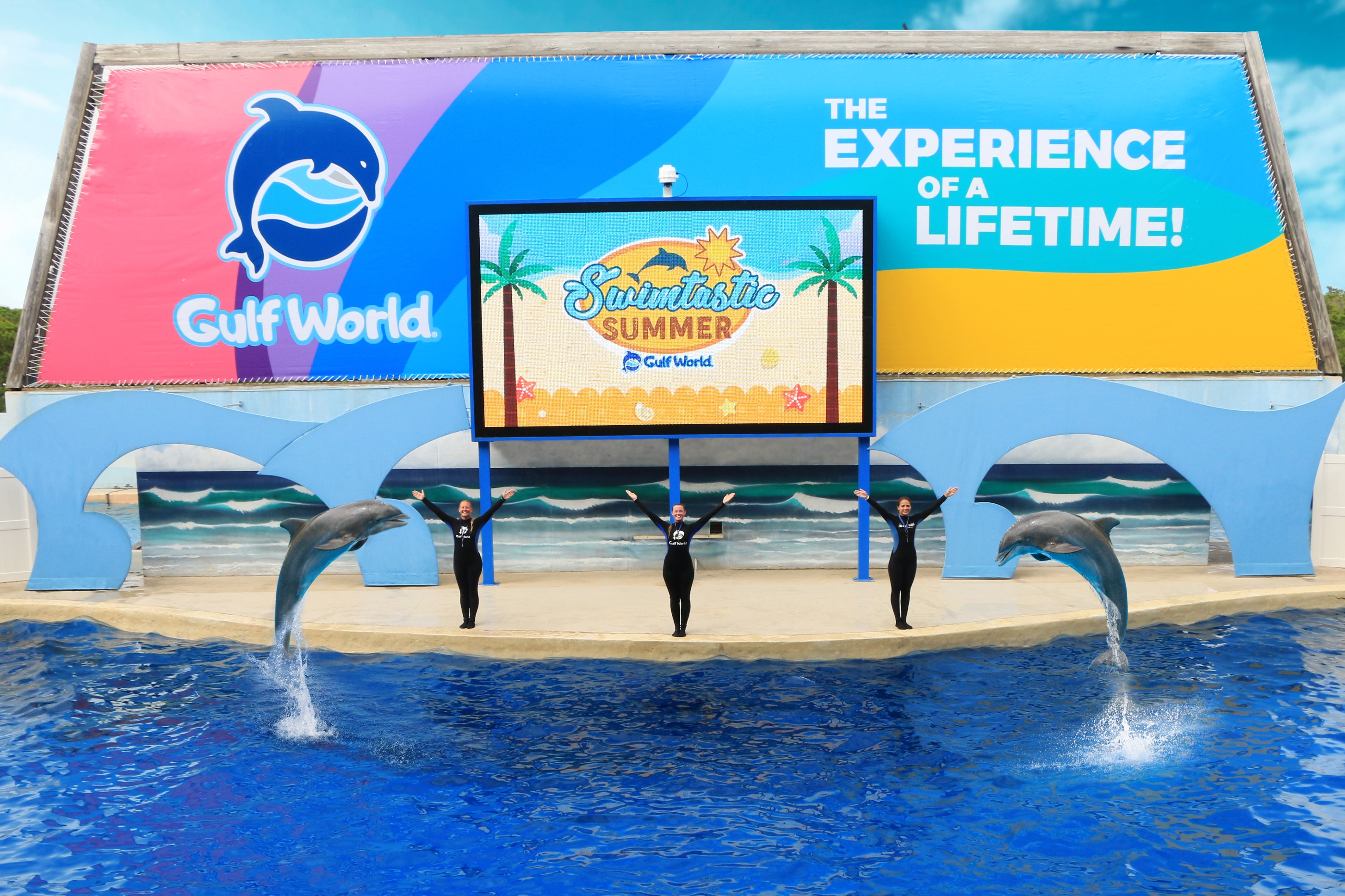 Miami Seaquarium - tickets, prices, discounts, swim with Dolphins