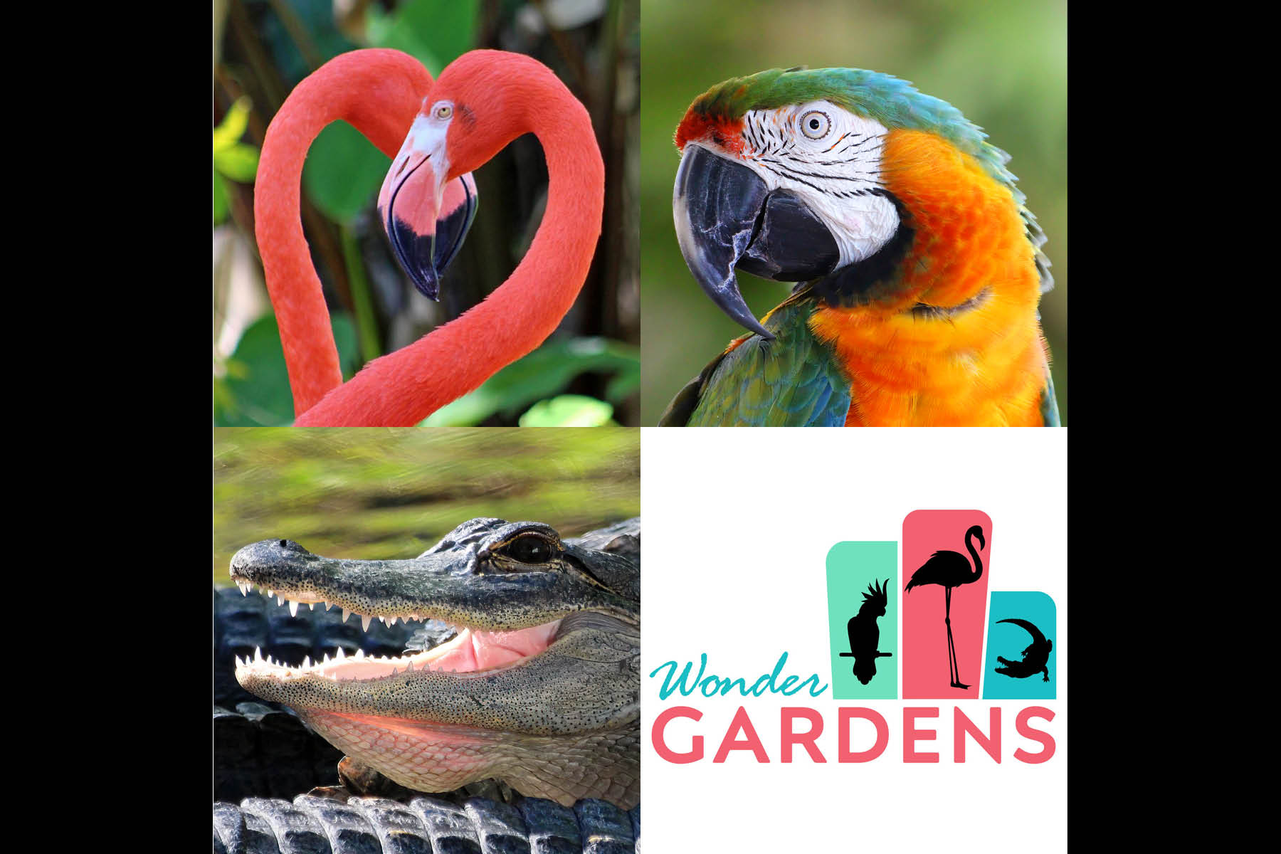 Wonder Gardens, Bonita Springs