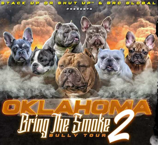 Oklahoma Bully Bring the Smoke Dog Show (move in day)