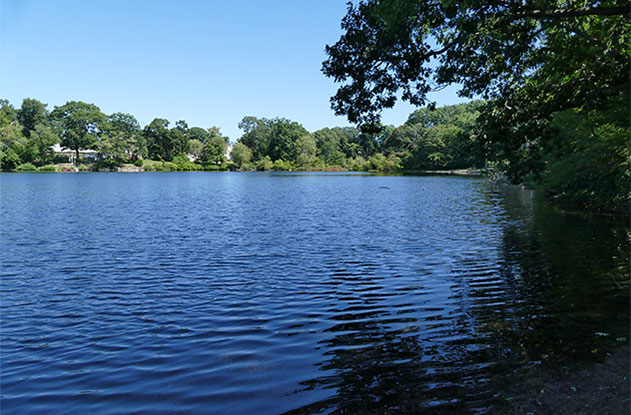 Discovering Sand Pond Public Beach: A Comprehensive Guide