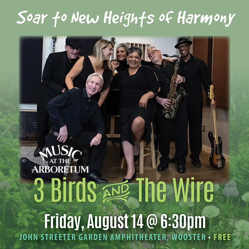 Music at the Arboretum: 3 Birds and The Wire