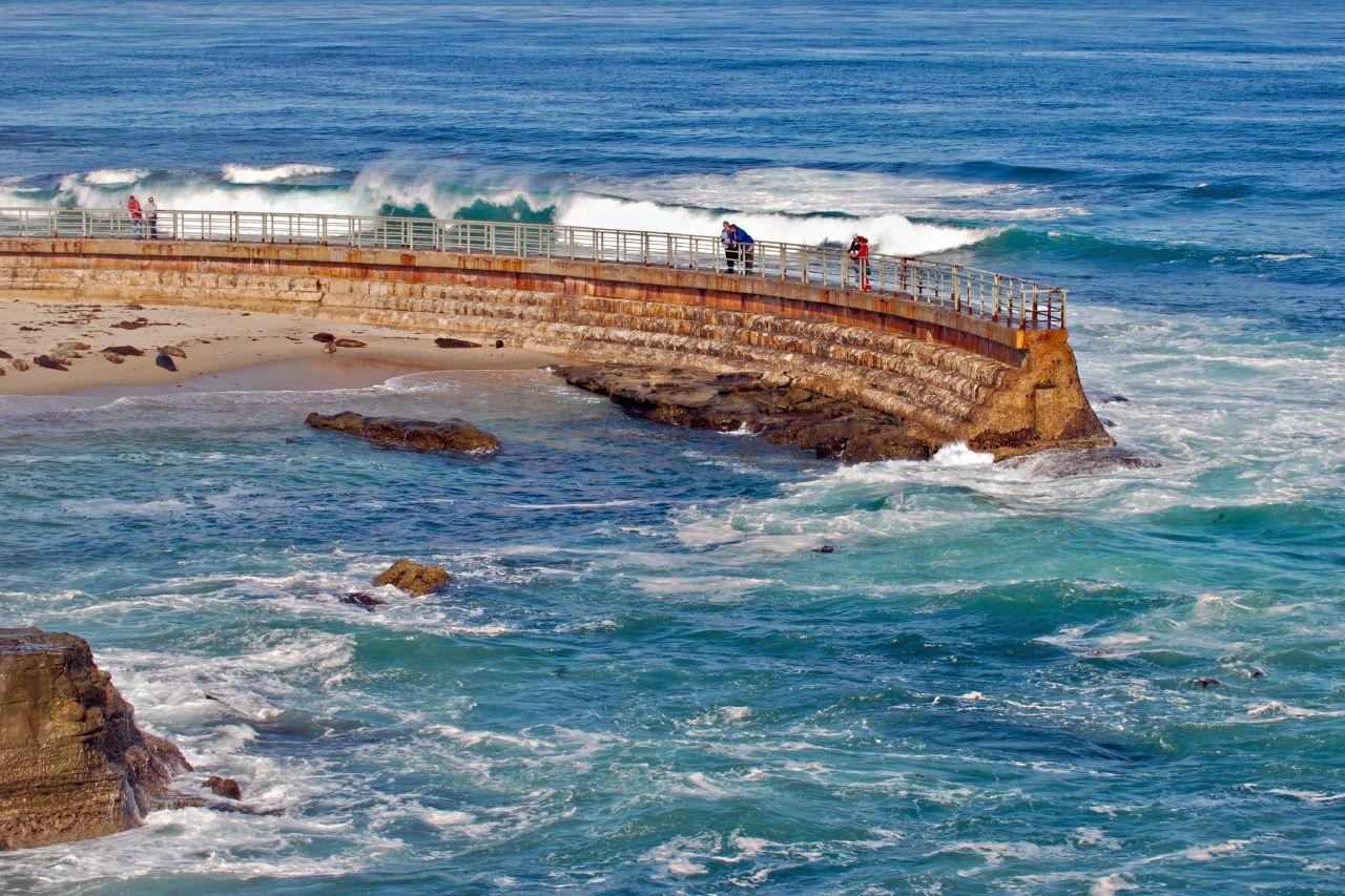 The Best Place to Sea Lions: La Jolla Cove - American Expeditioners