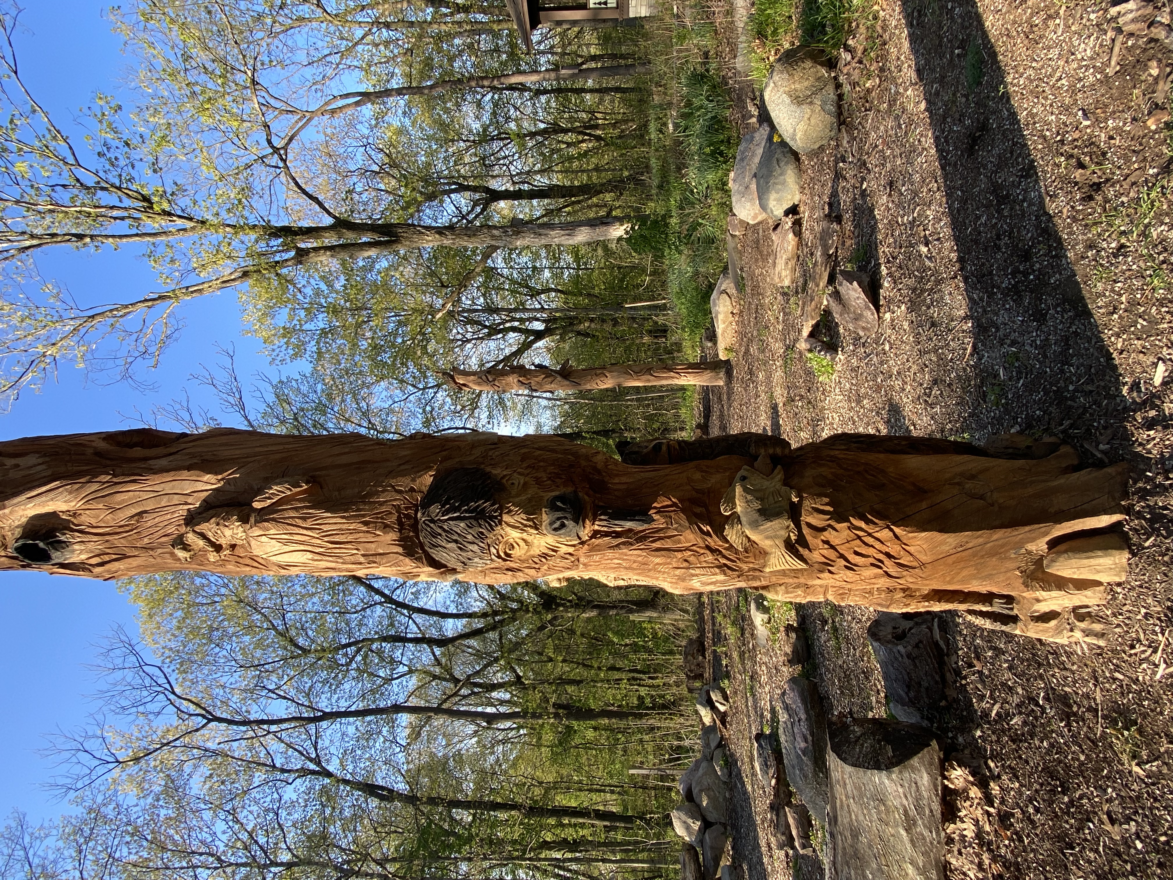 Clegg Memorial Gardens Wooden Sculptures
