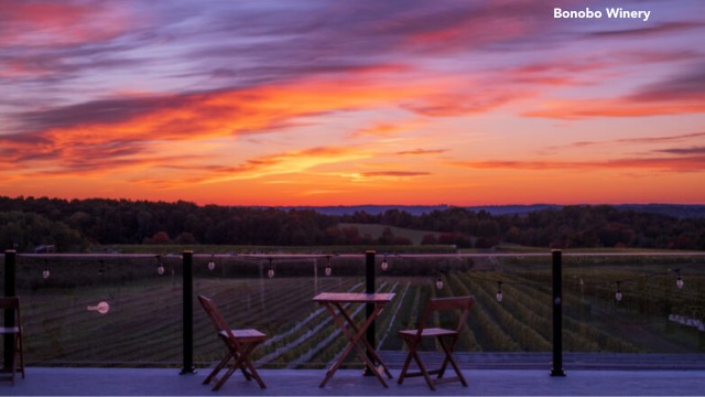 Bonobo-Winery-3_7F032DF9-EE45-