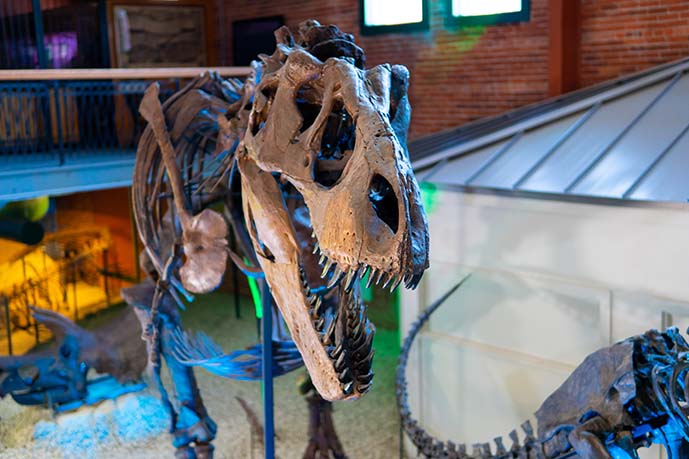 Museum Of World Treasures