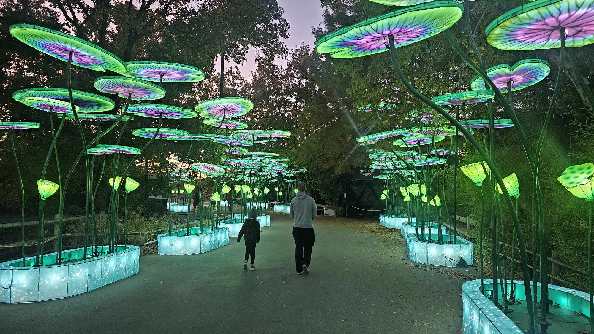 Wish/Sanctuary Welcome to River's Wish Animal Sanctuary - Home